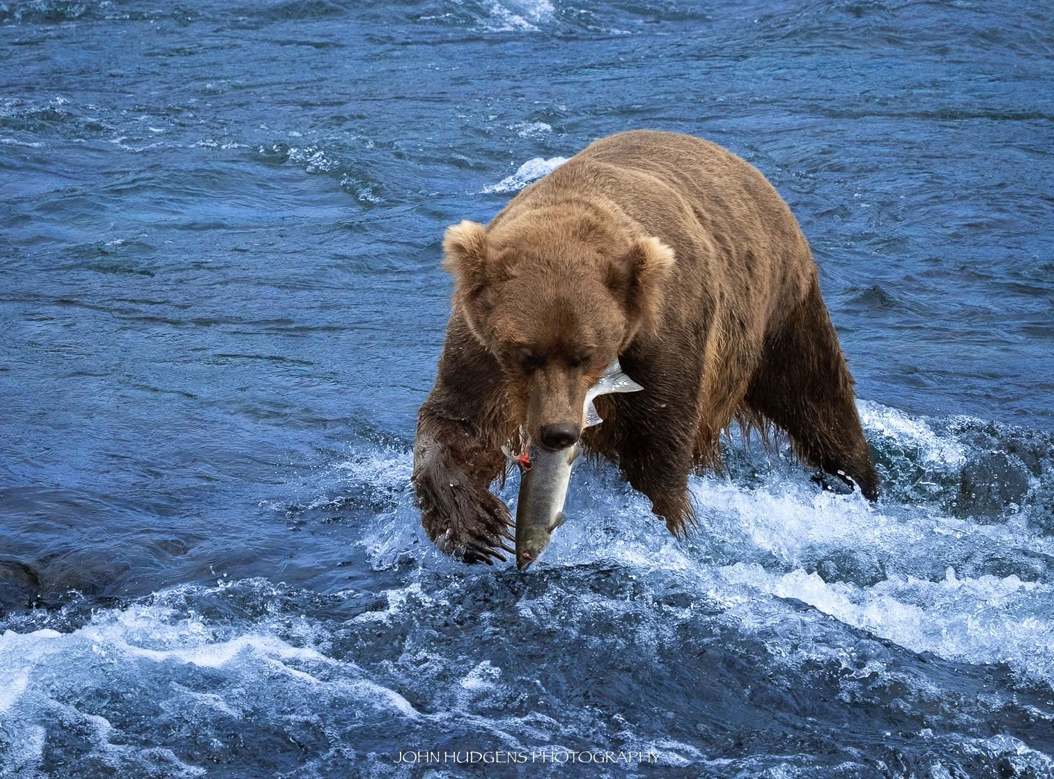 Caught Dinner 072826.jpg