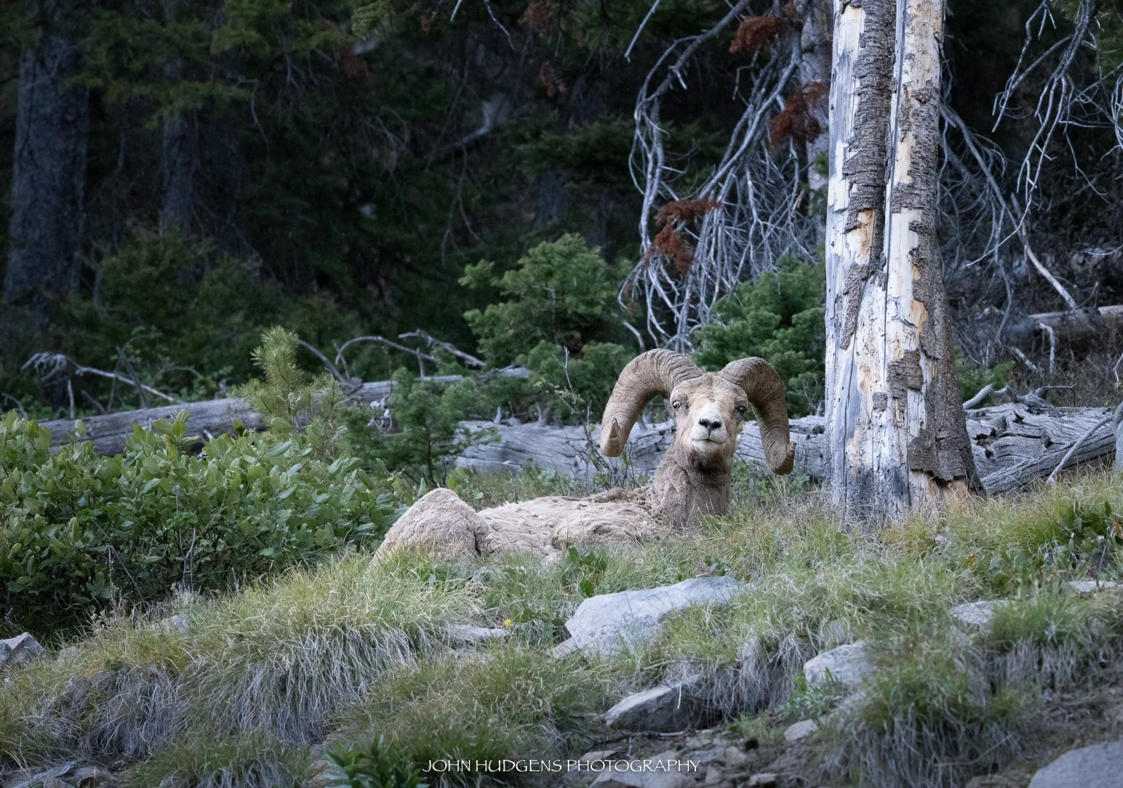 untitled-4.jpg