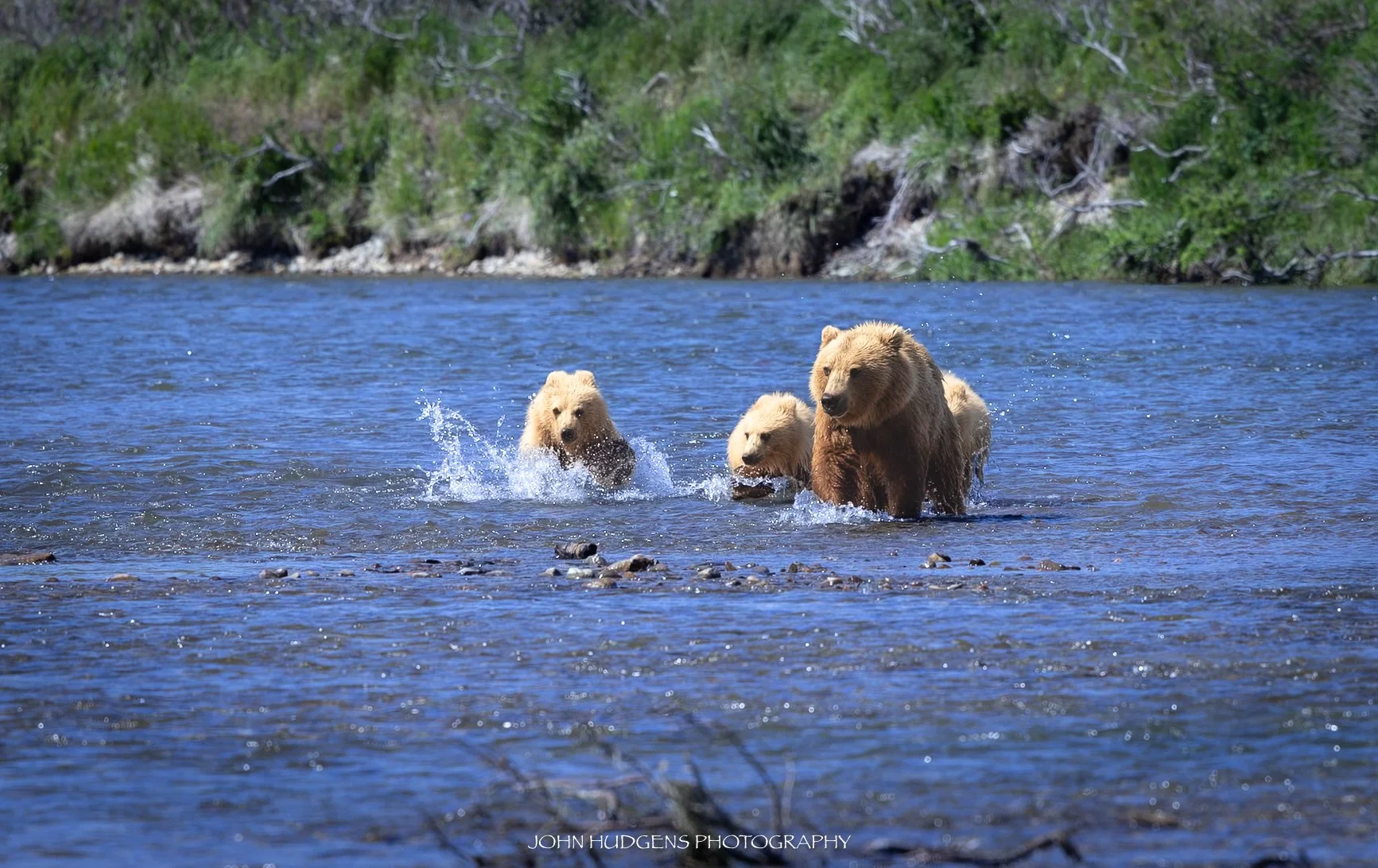 Family Crossing 072626.jpg
