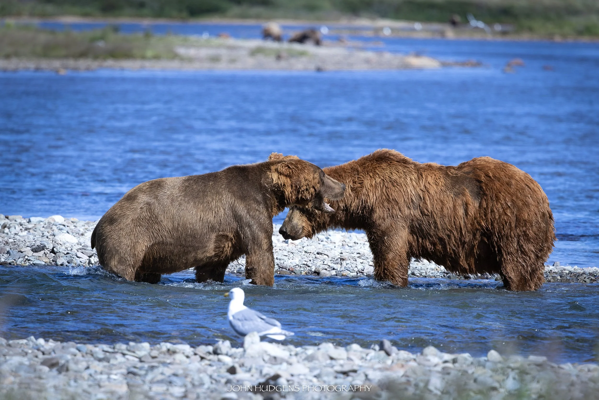 Disagreement 073026.jpg