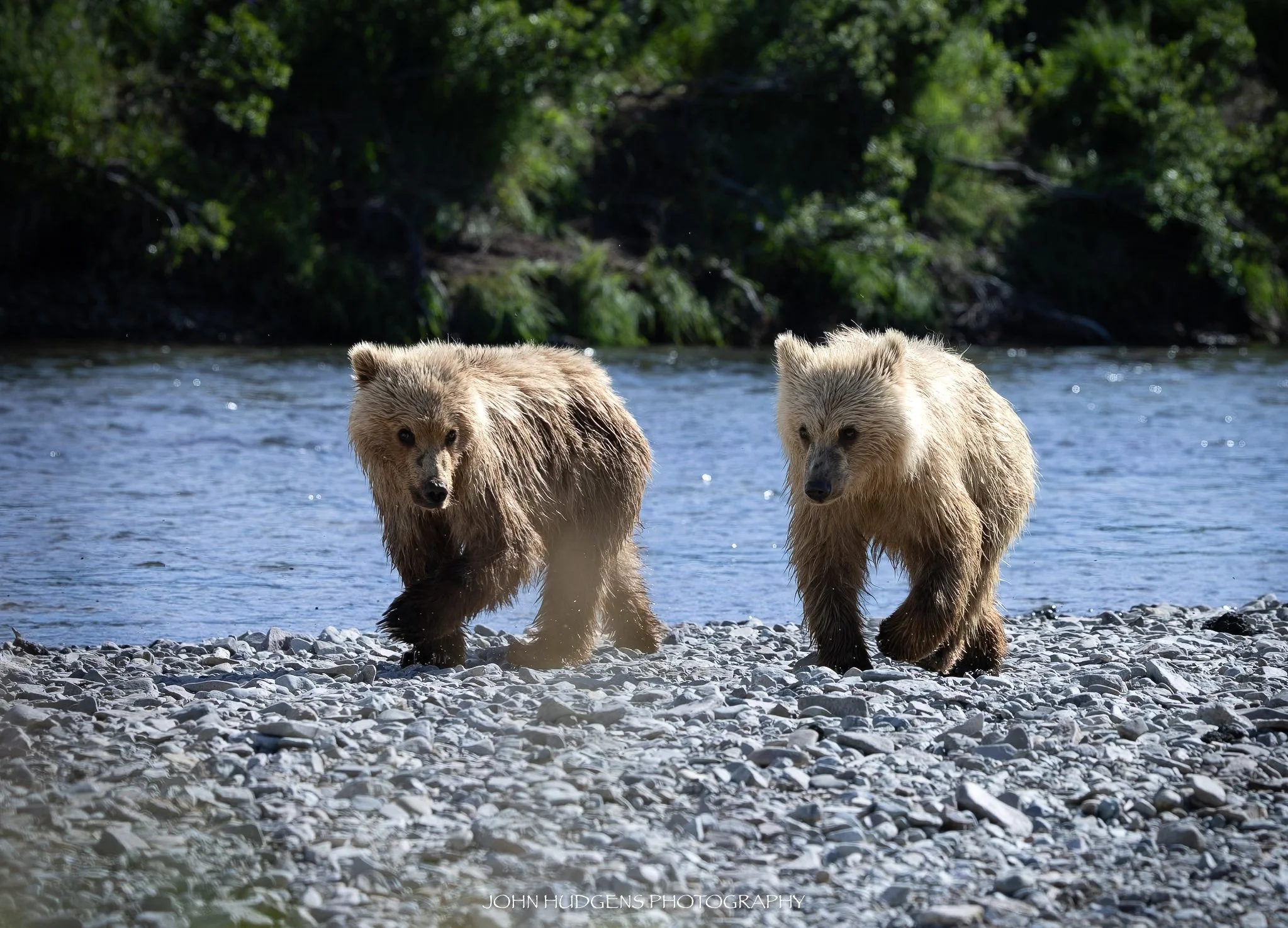 Twins 072926.jpg