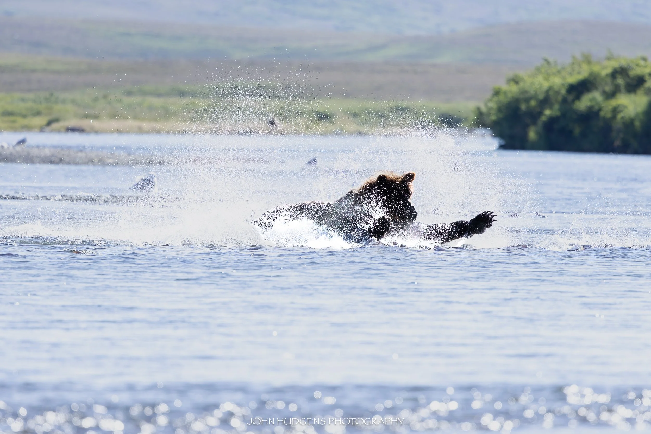 Splash Down 072926.jpg