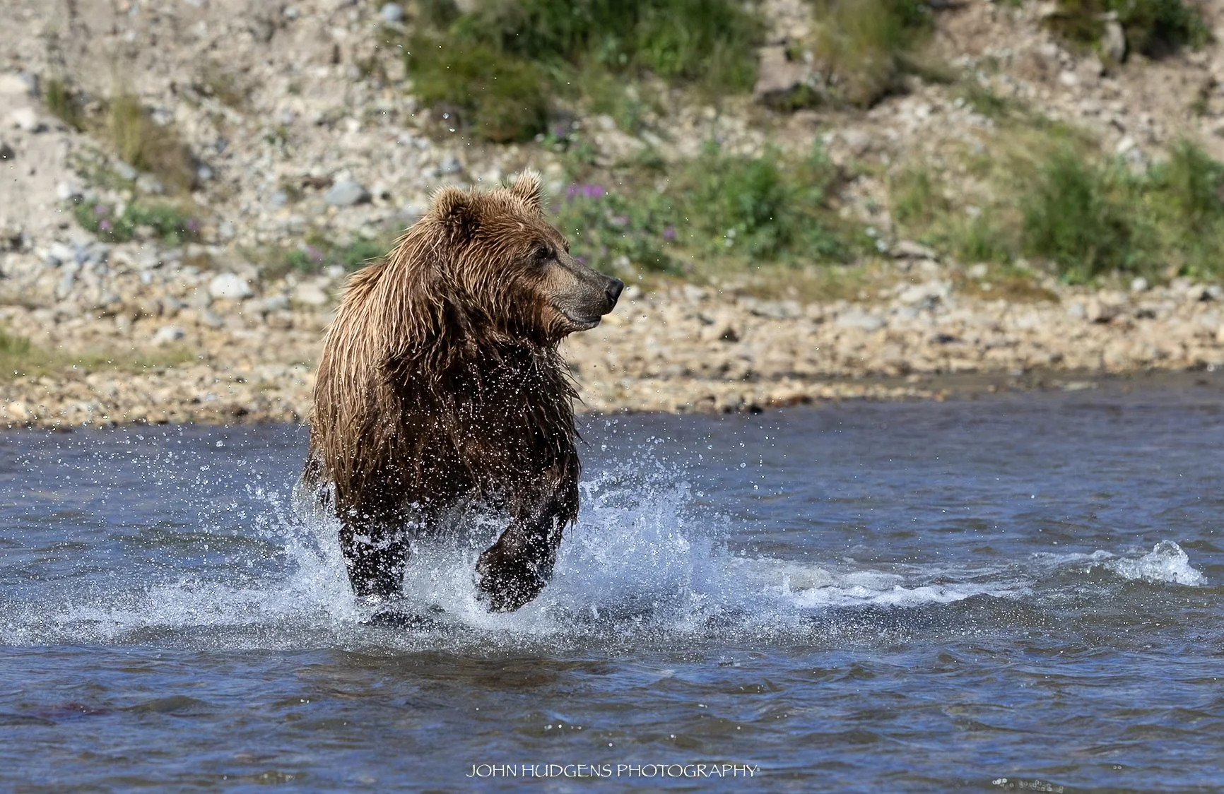 Fishing Season2 073026.jpg