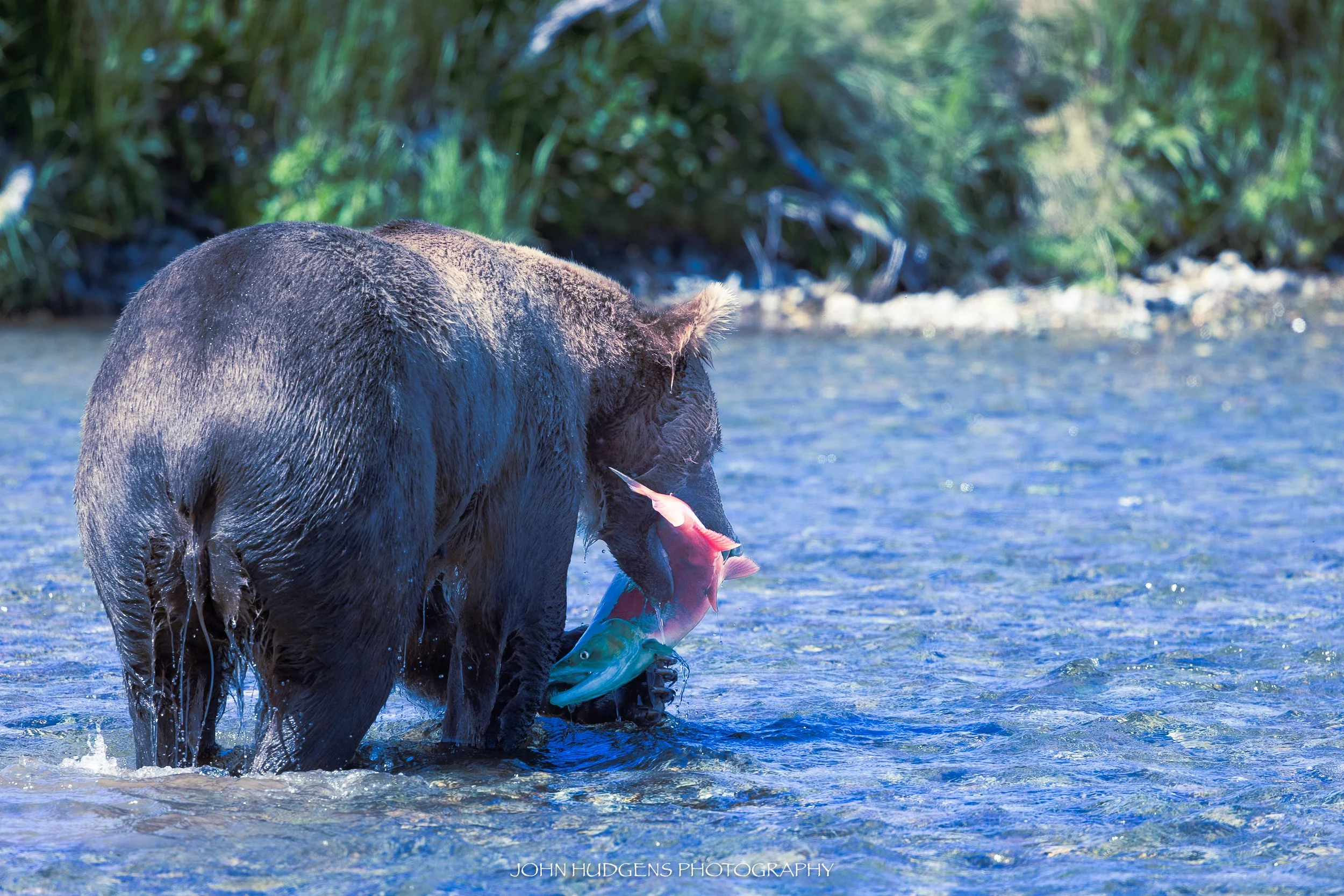 Catch of the Day 072926.jpg