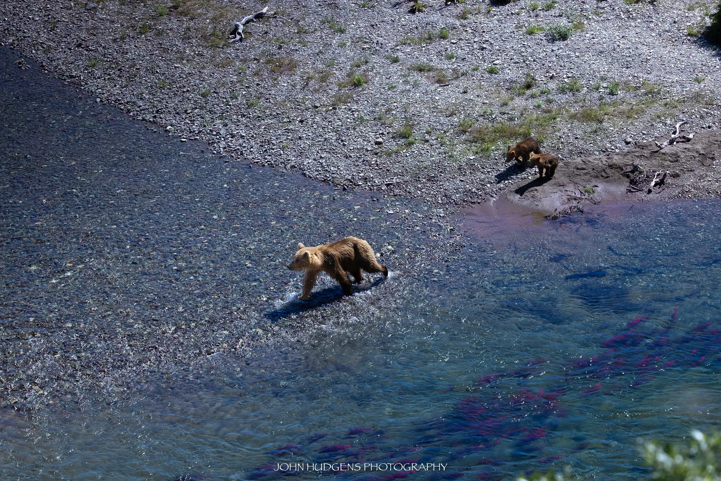 Bears & Reds 072626.jpg