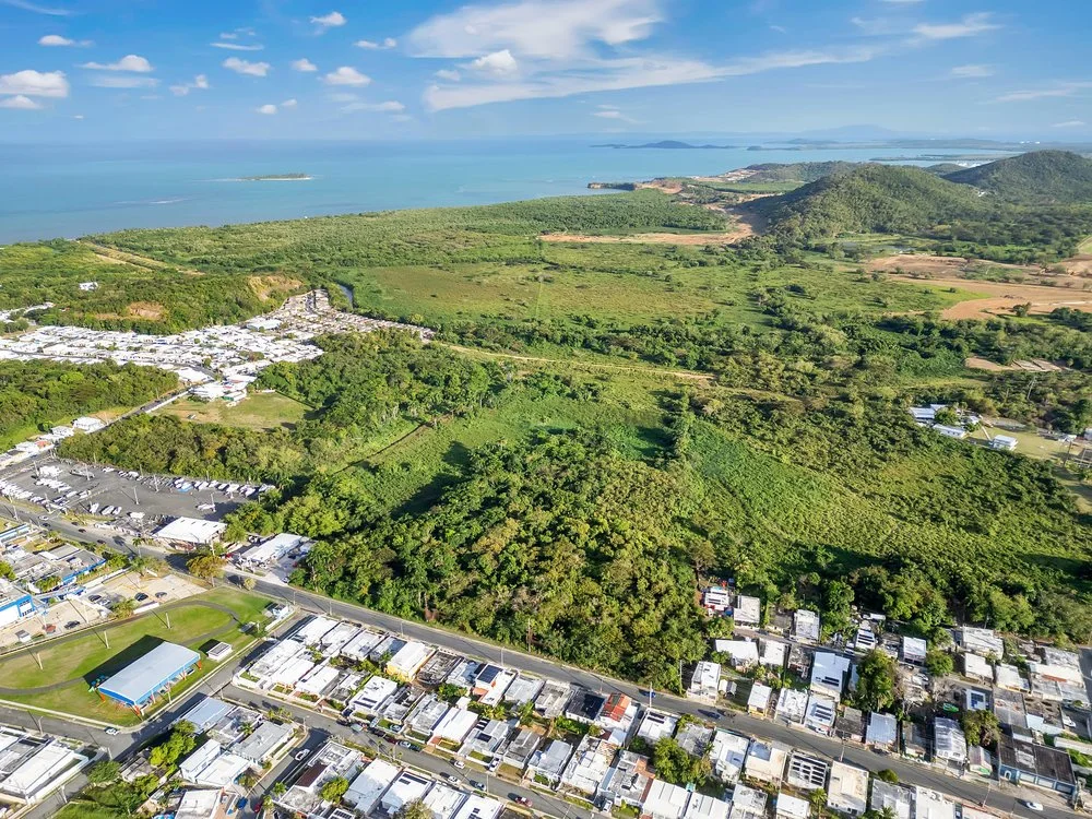An image of Green with Ocean
