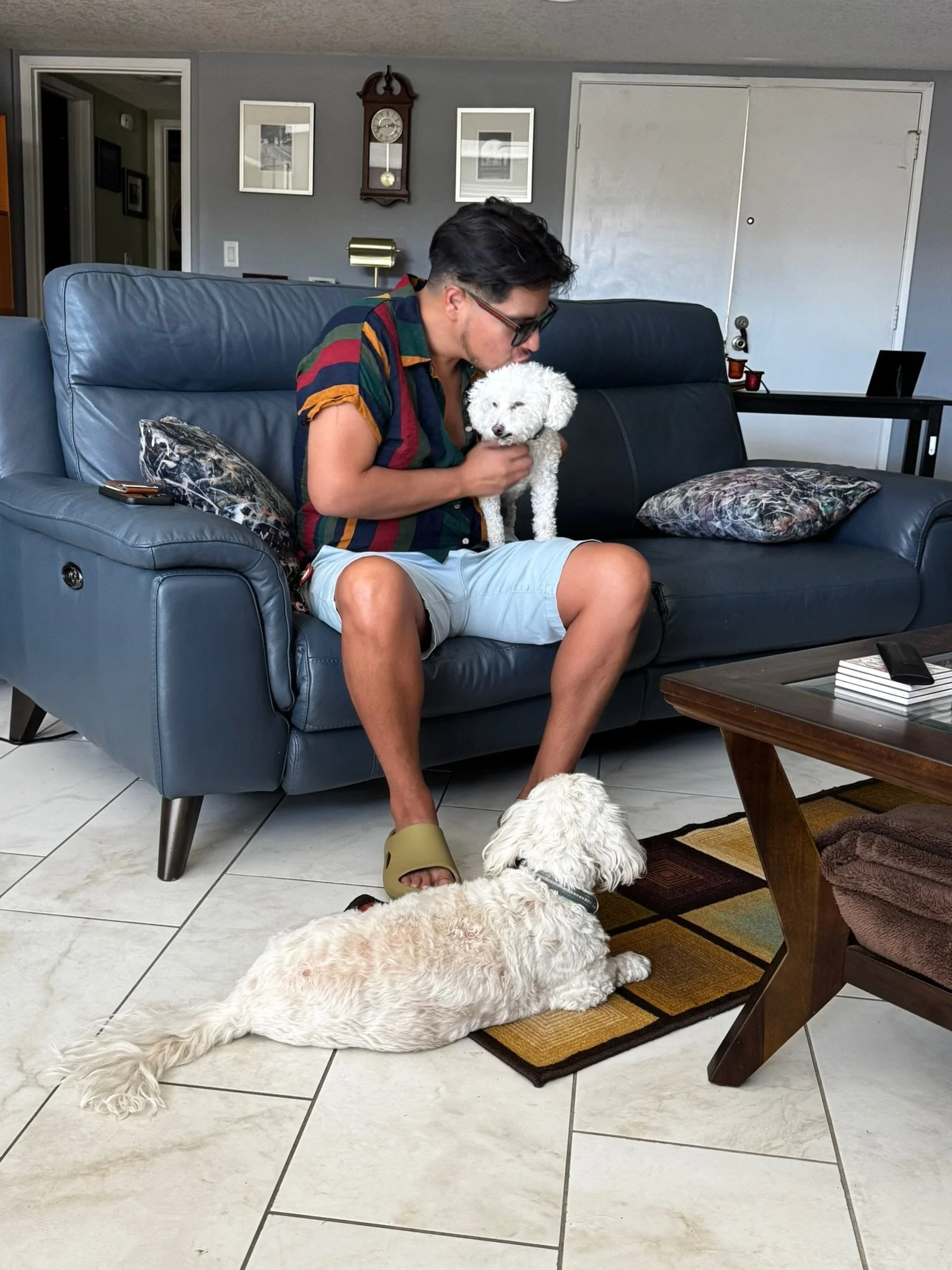 A young man wearing glasses, a colorful striped shirt, light blue shorts, and yellow slide sandals, sitting on a dark blue leather couch in a living room. He is kissing a small white curly-haired dog. Another large white dog is lying on the tile floor nearby. The room has a gray wall with framed pictures, a wooden clock, and a side table with decorative items. There is a black table with a laptop and red cups in the background, and a wooden coffee table with a striped item and a white book on it.