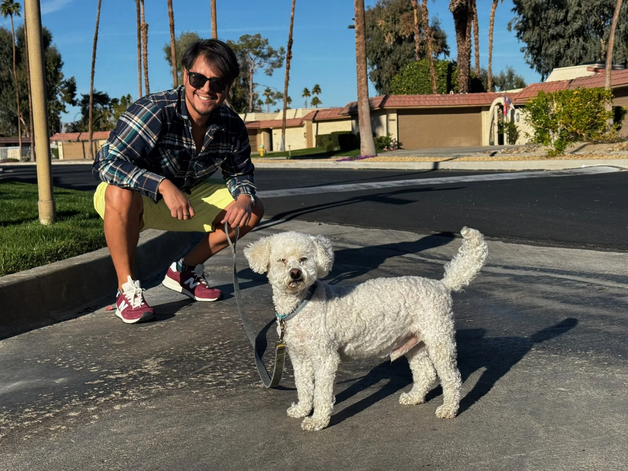 A man wearing sunglasses, a plaid shirt, and yellow shorts crouches next to a white curly-haired dog on a leash on a sidewalk in a residential neighborhood with palm trees and houses in the background.
