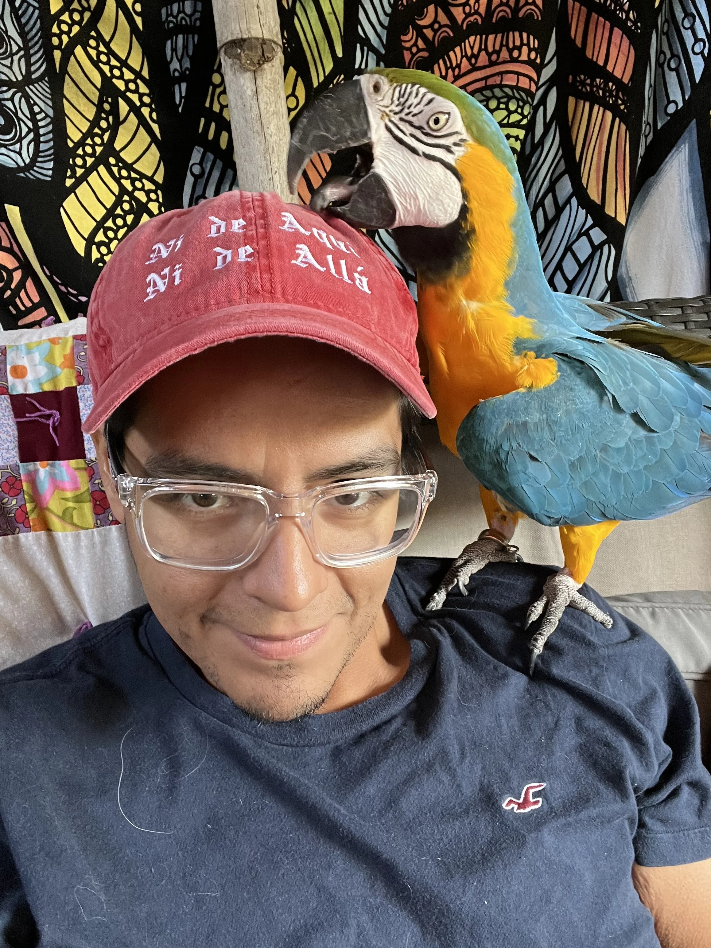 A man wearing glasses and a red cap, with a colorful parrot perched on his shoulder, in front of a vibrant, patterned background.