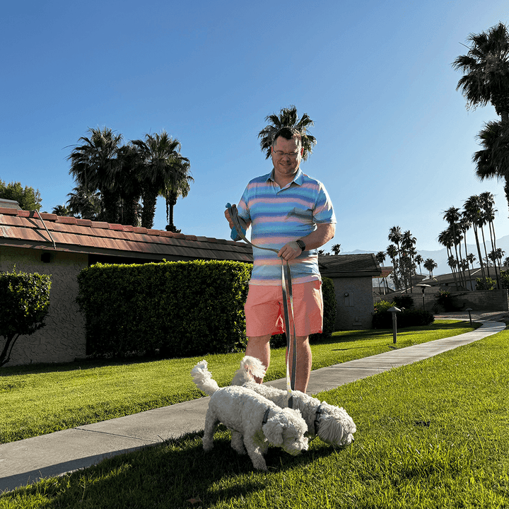 A man walking two small white dogs on a leash in a sunny, suburban neighborhood with palm trees and houses.