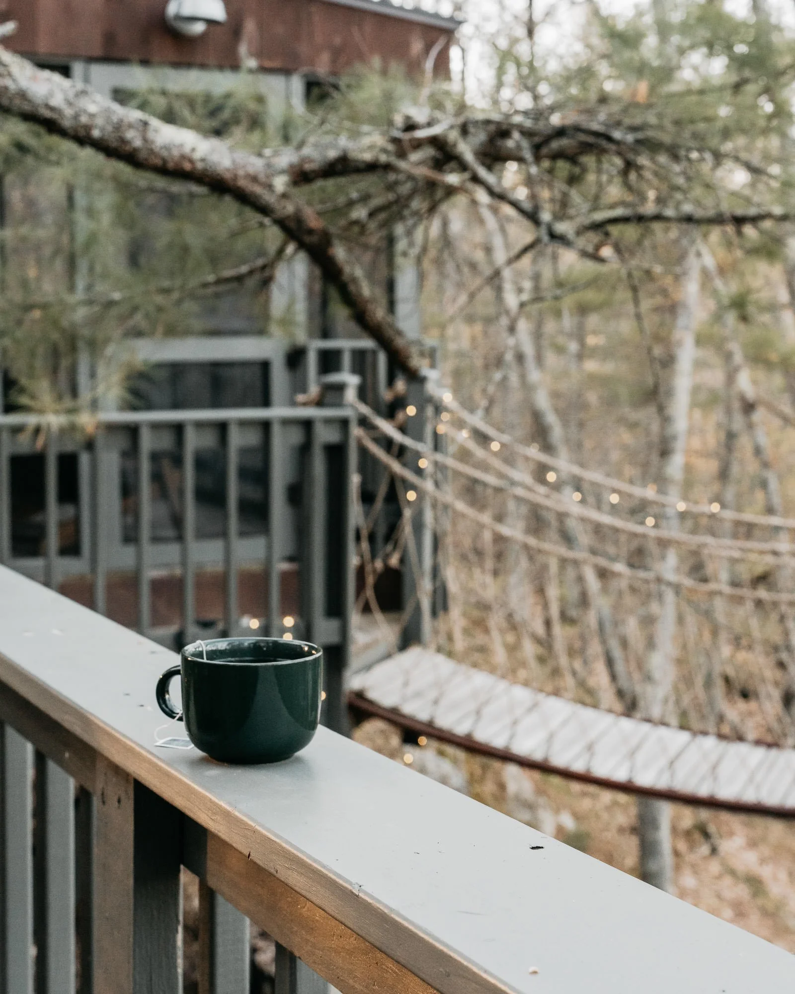 MelissaKeyserMainePhotography58.jpg