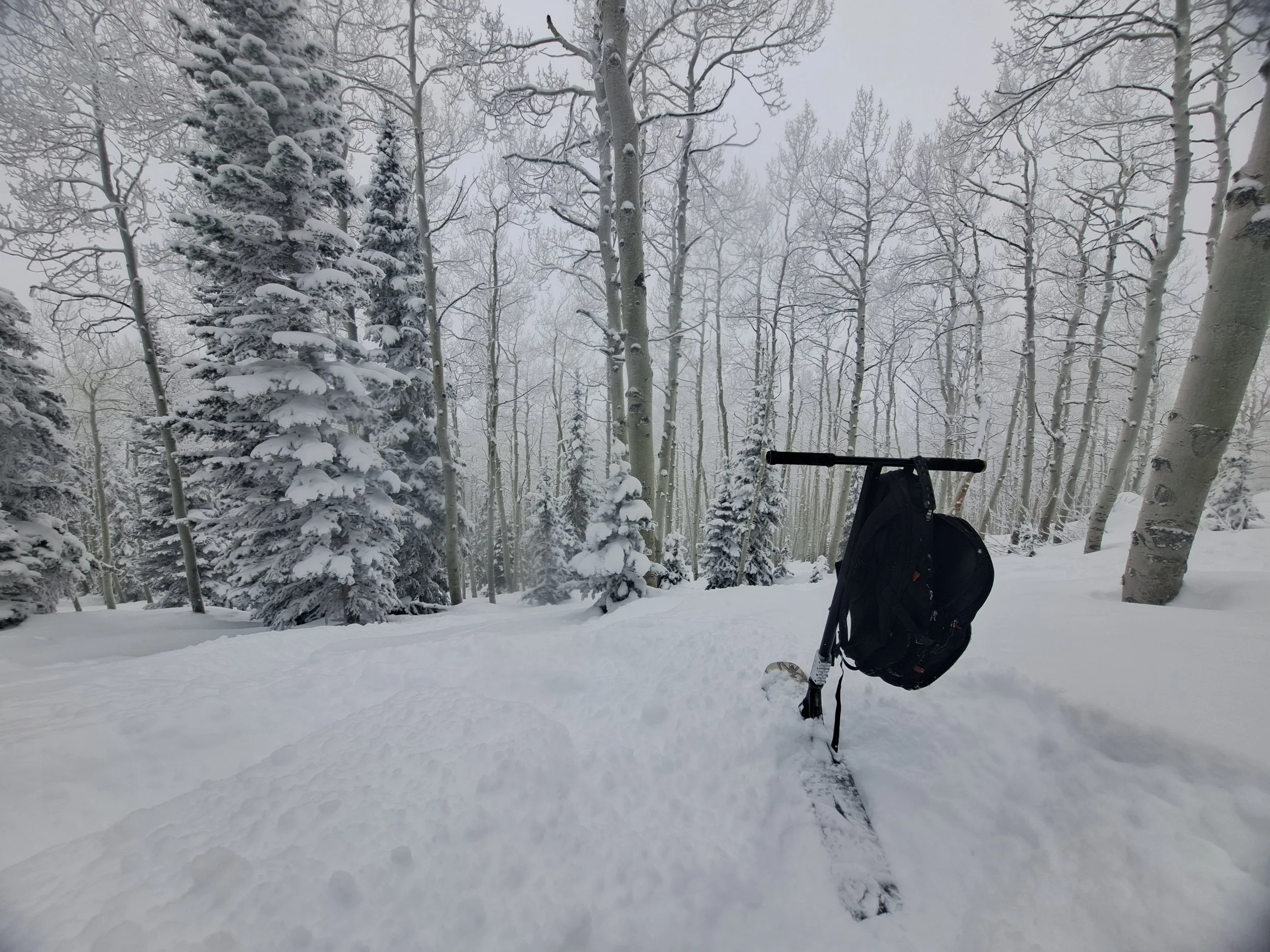 Snow-covered trees in a winter forest, with a black backpack and a hiking pole on the snowy ground.