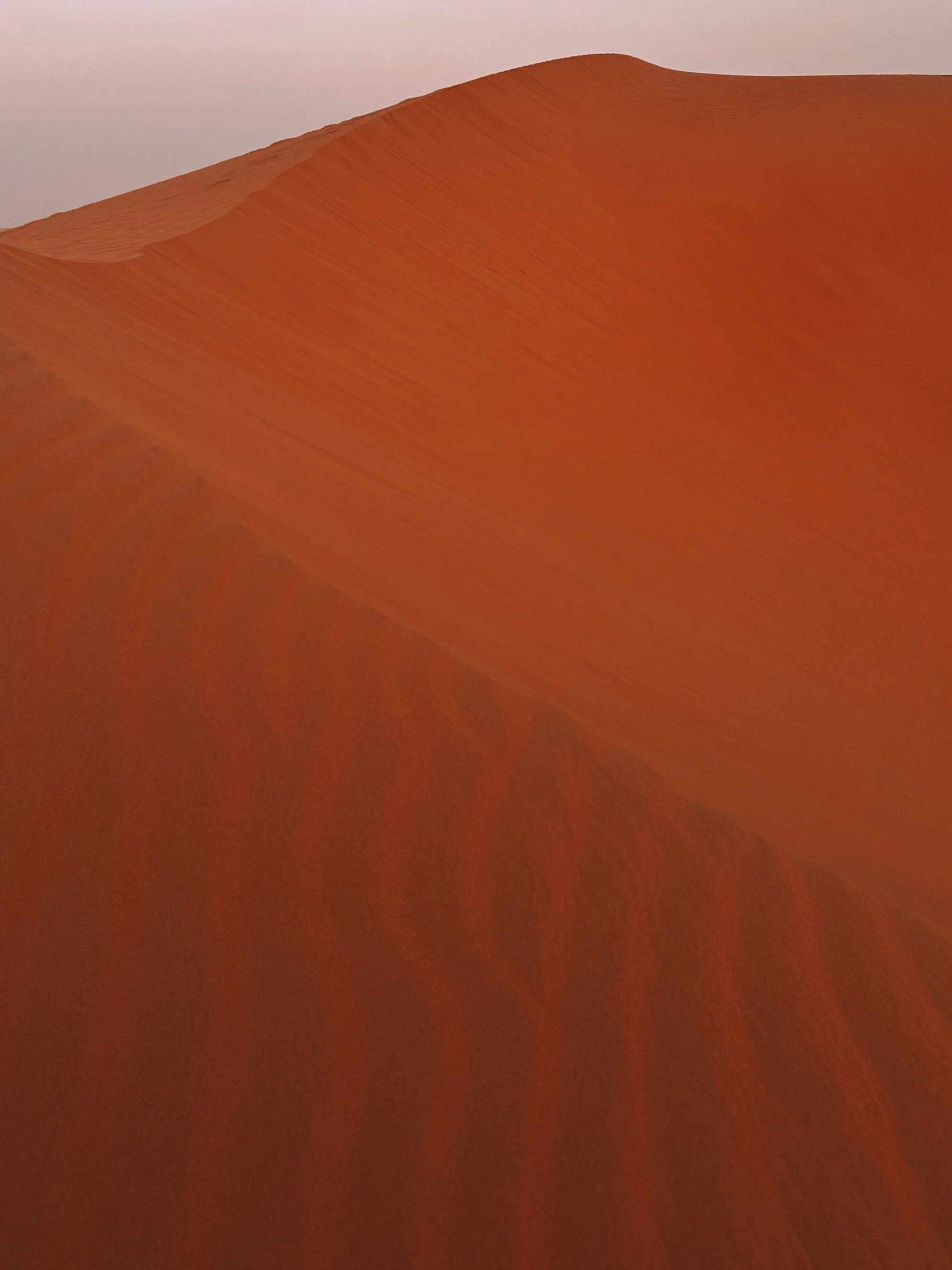 FullSizeRender_VSCO+2.png