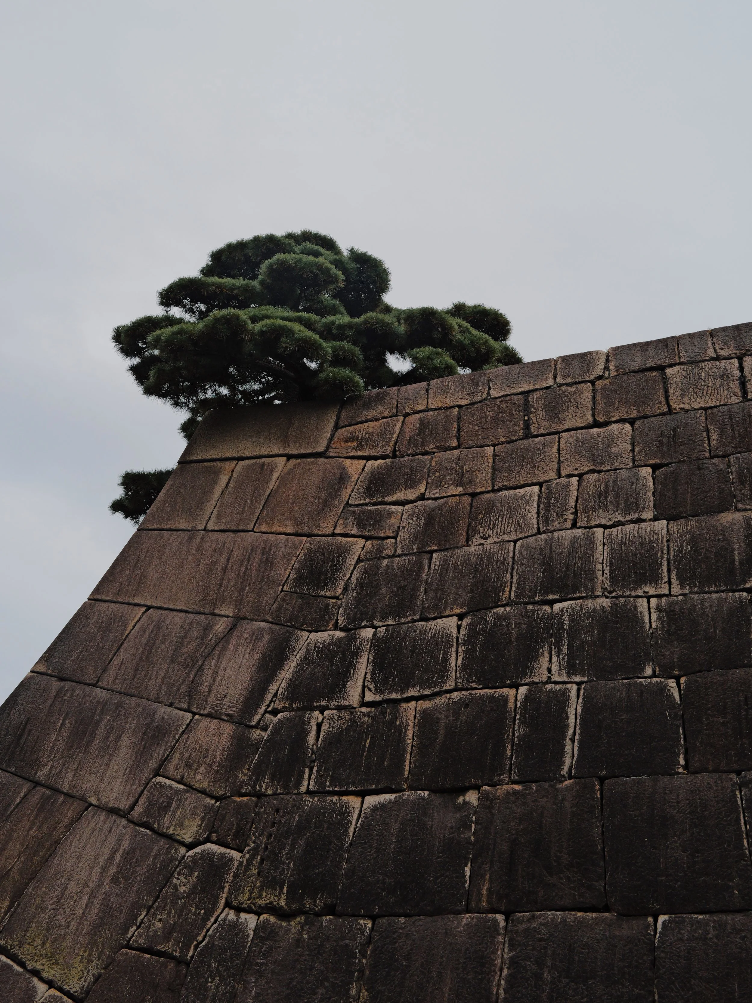 L1065987_VSCO.png