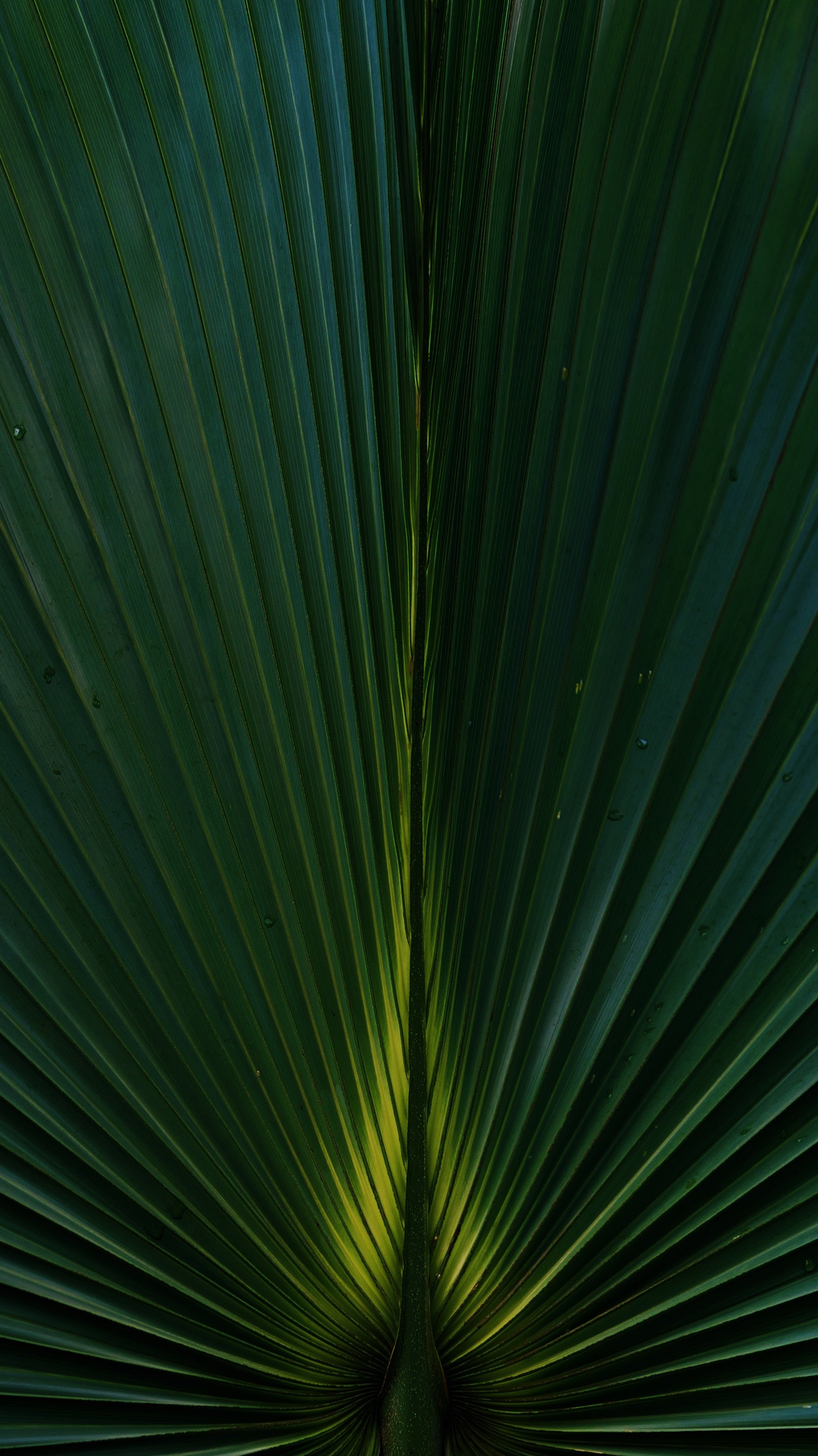 FullSizeRender_VSCO.jpeg