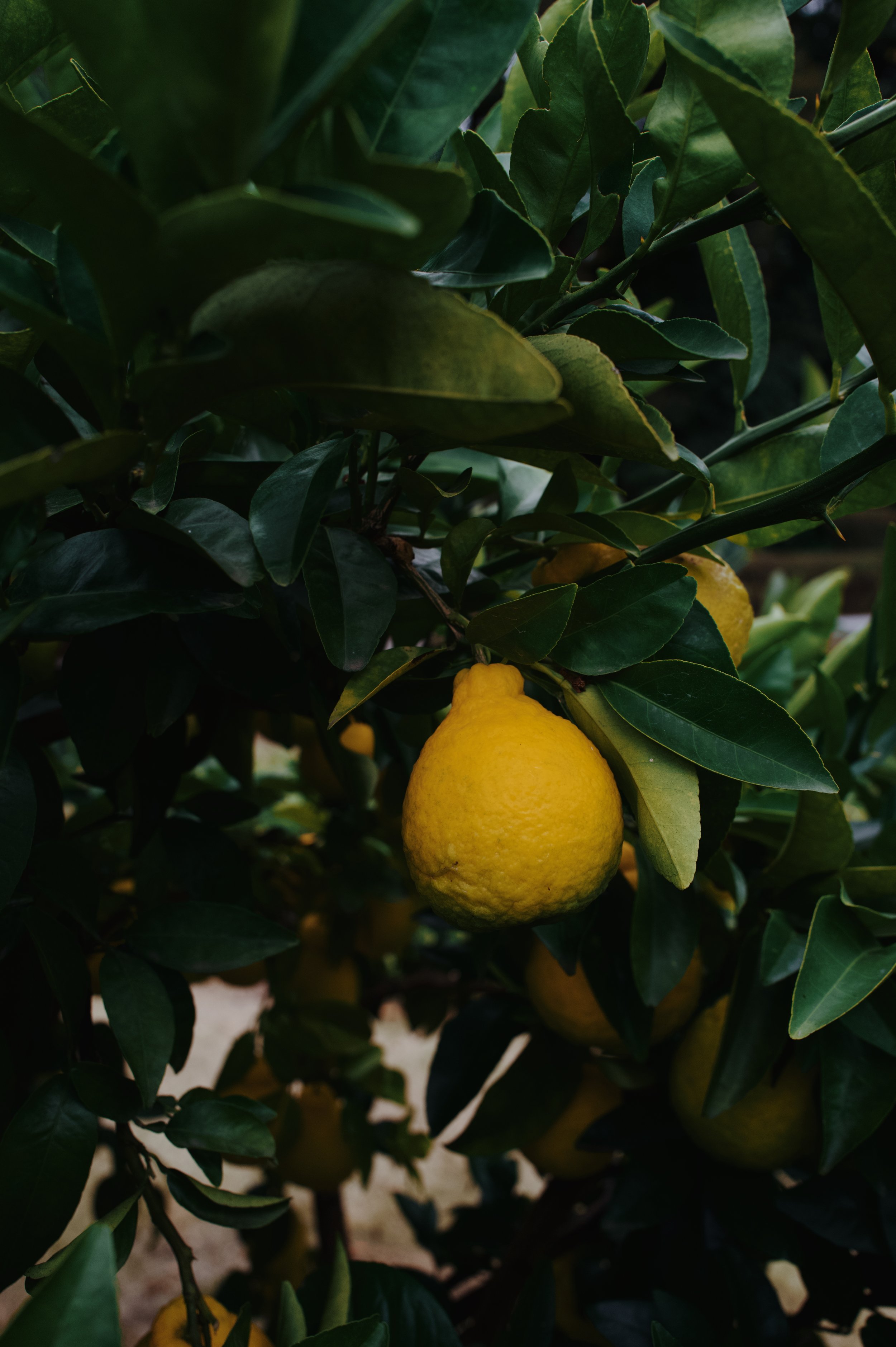 L1066040_VSCO.JPG