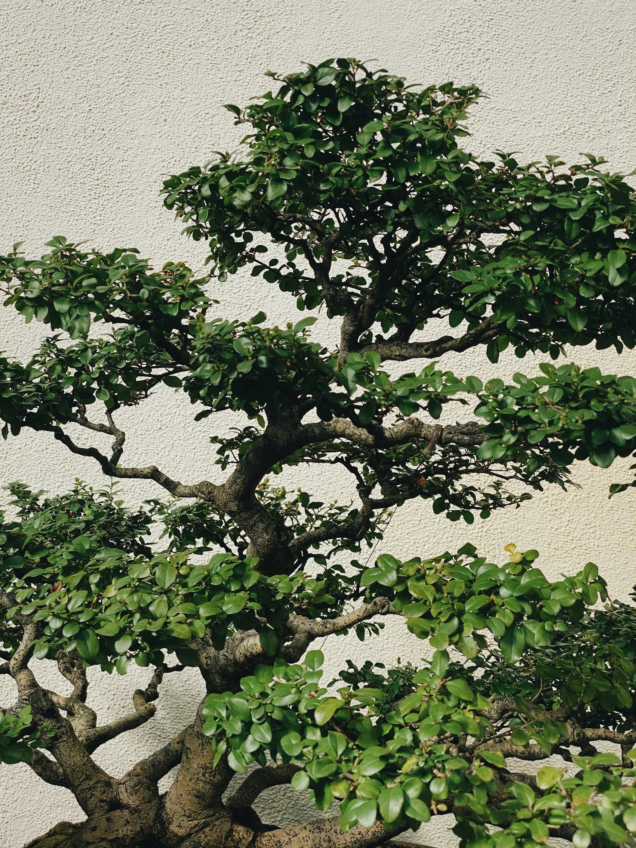 14444F40-606B-4F9B-9A4E-255F367D6E2C.jpeg
