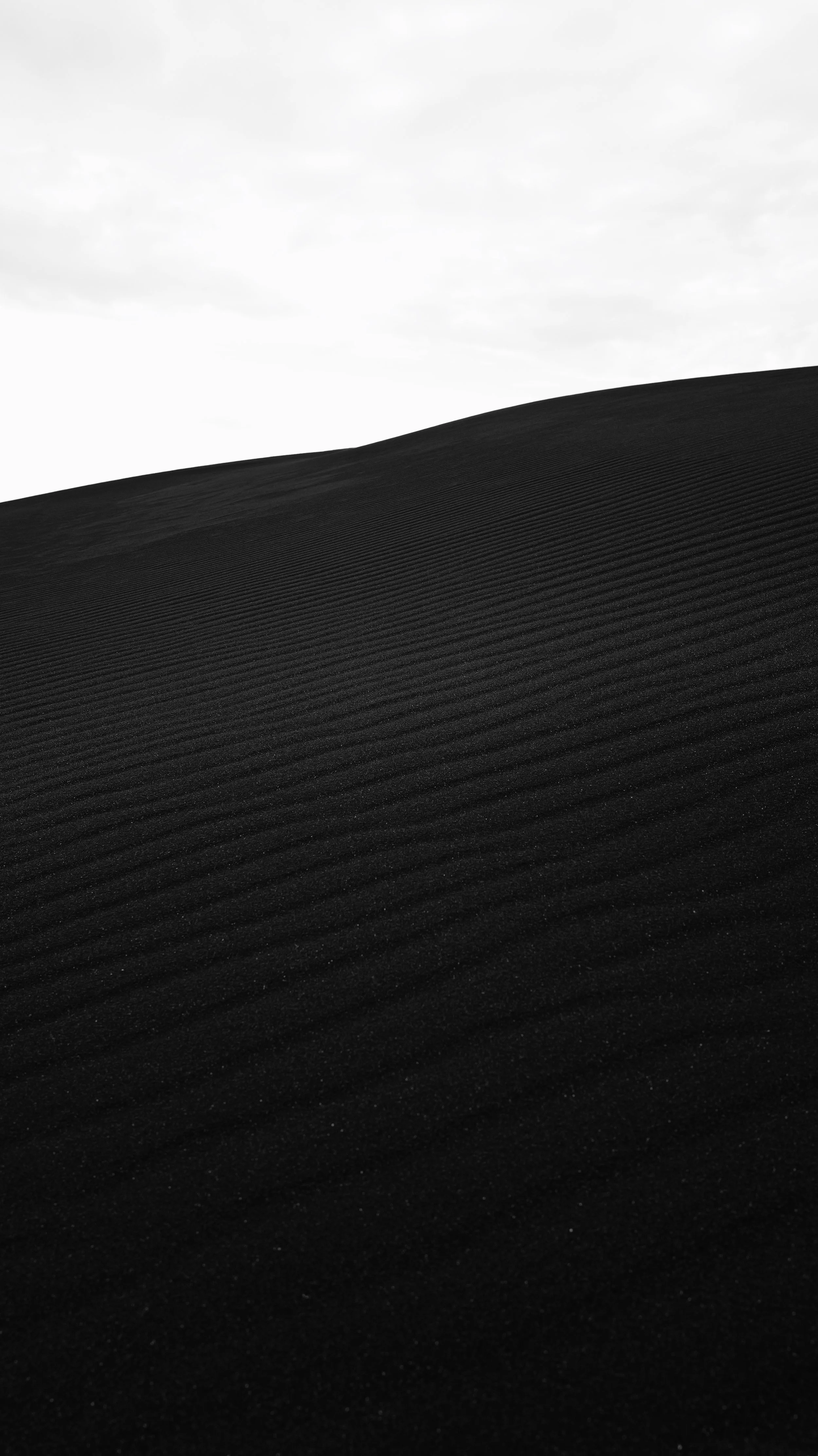 5D84236A-859E-431B-A25F-151DB3A5CF97.jpeg