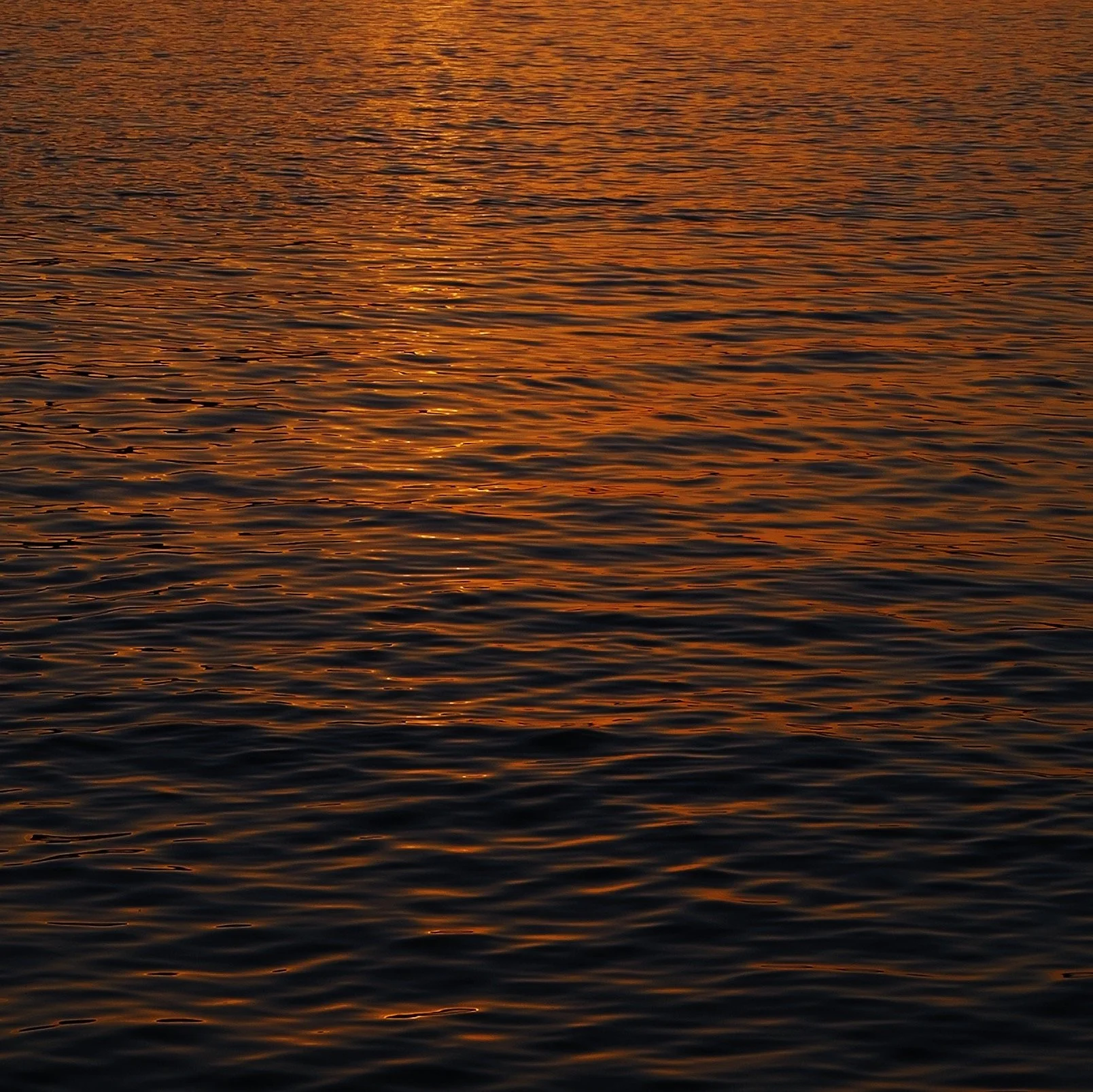 B56E78F0-C64C-478B-87BF-D3C700D53877.JPG