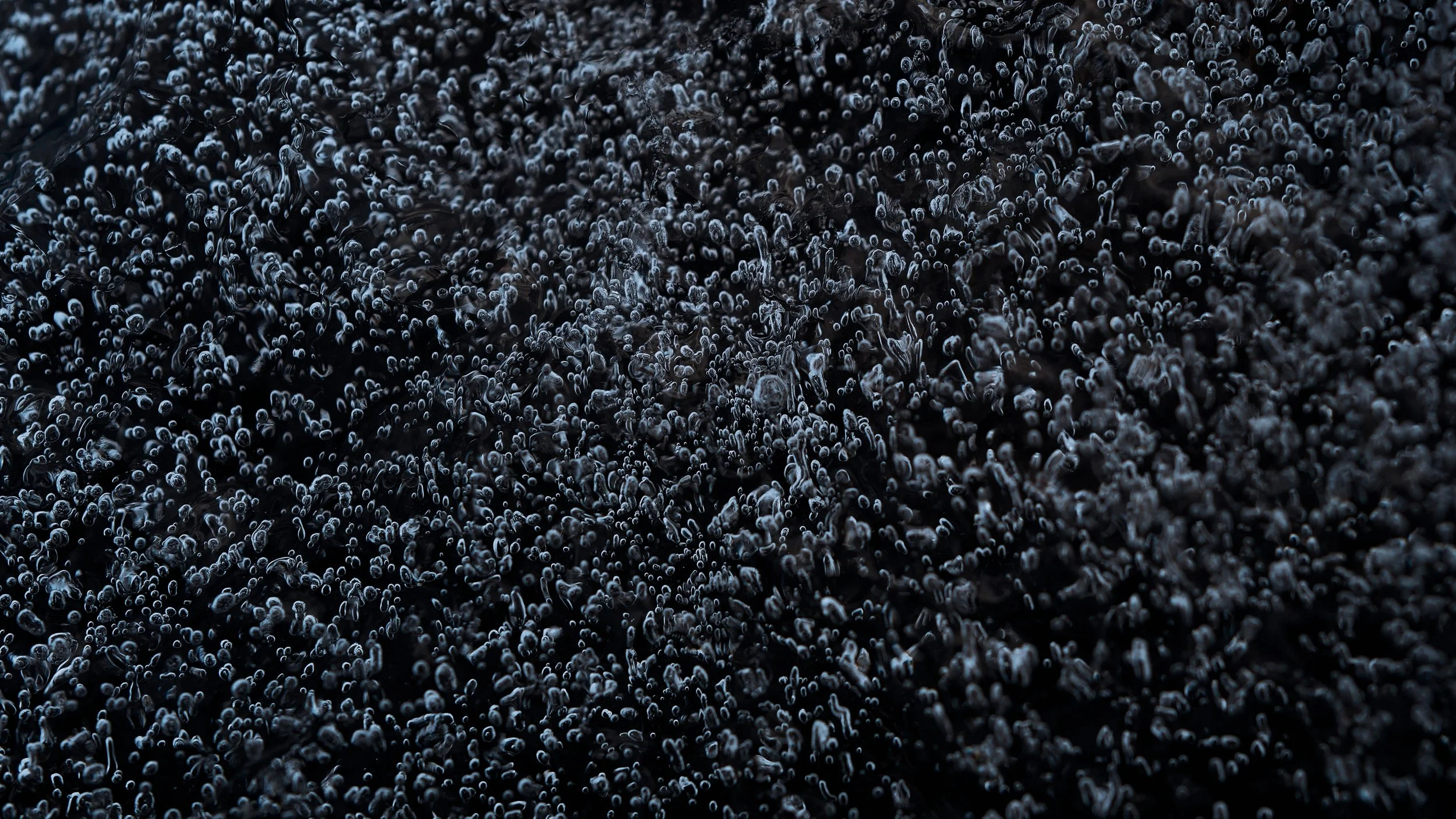 L1009118_VSCO.jpeg