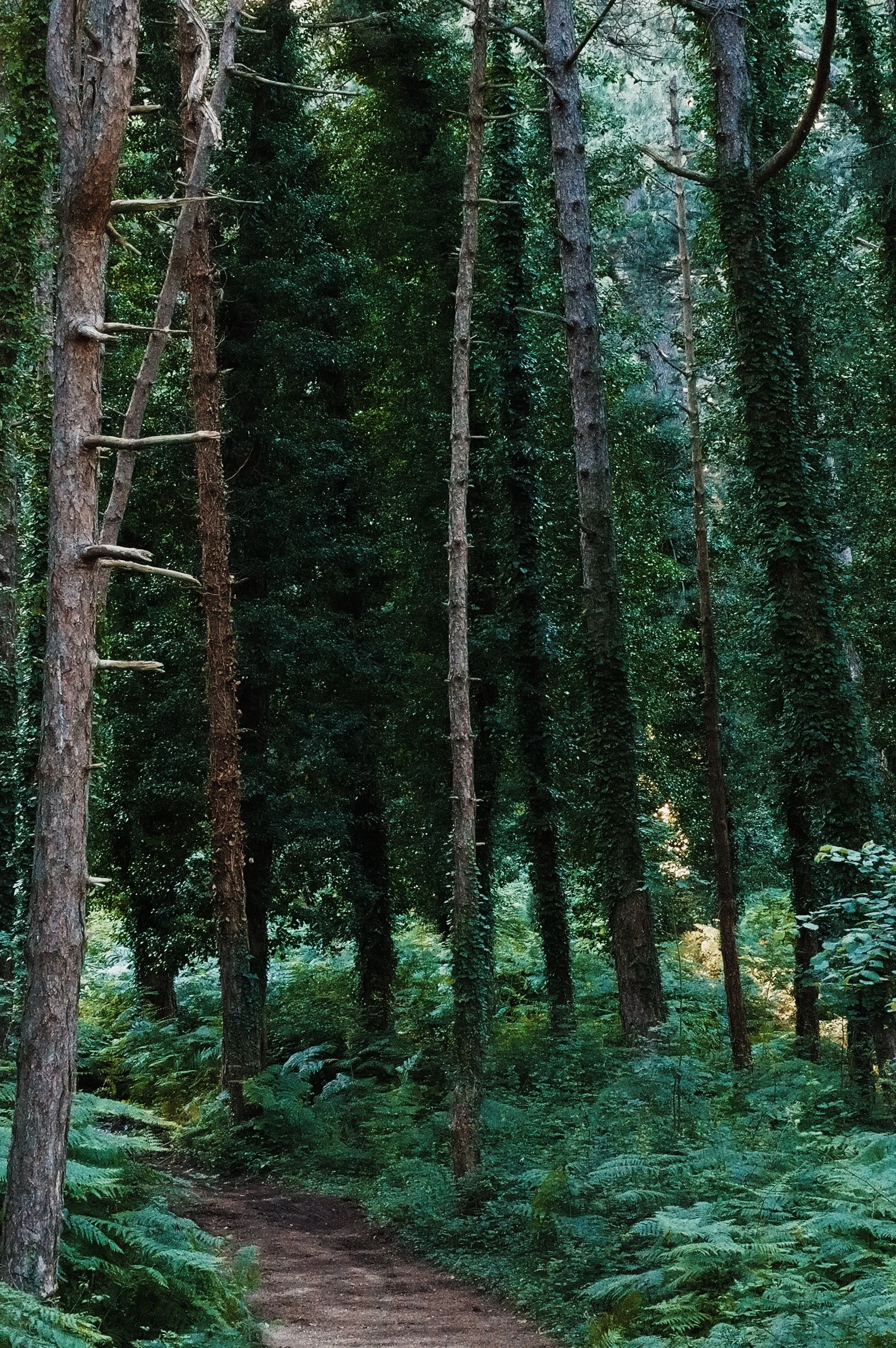 DO01000271_VSCO.JPG