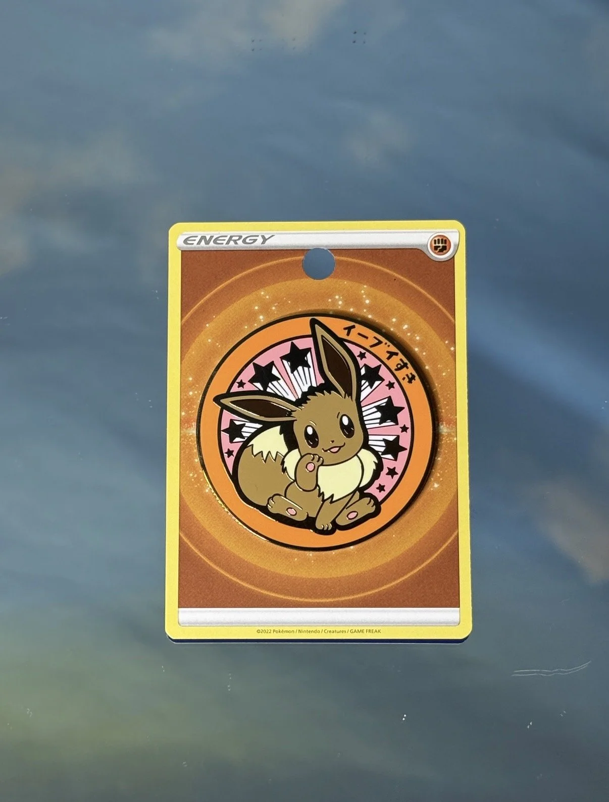 Eevee Manhole Cover Pin