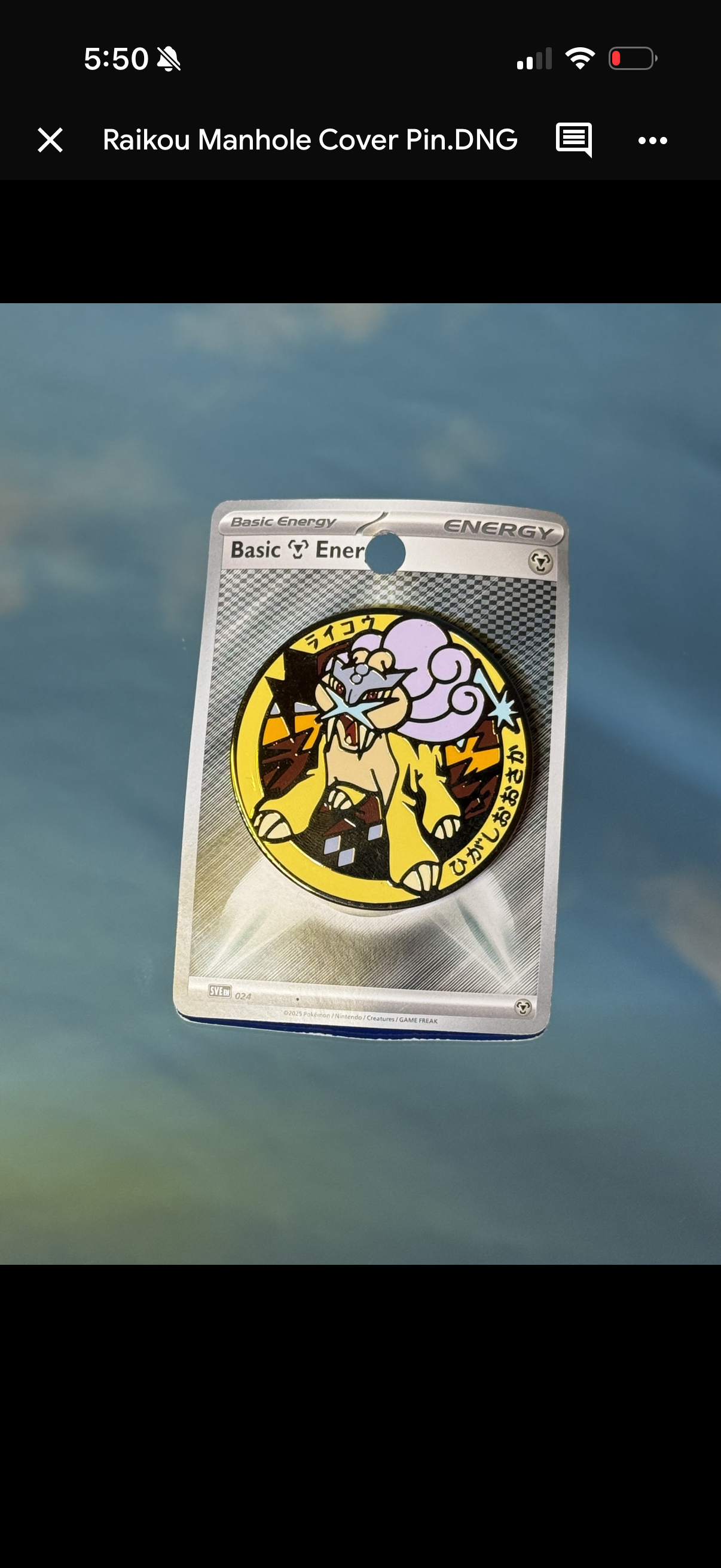 Raikou Manhole Cover Pin