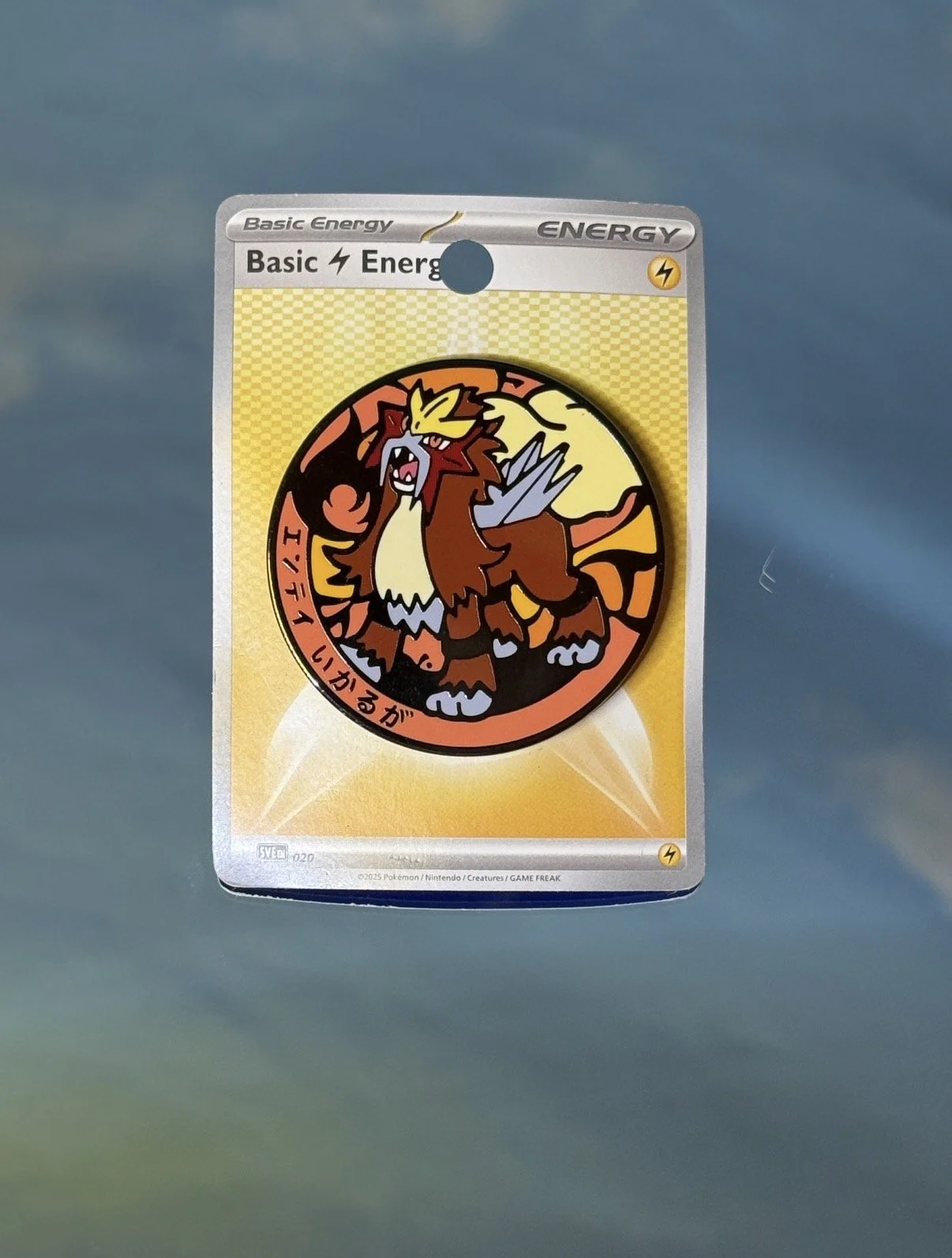 Entei Manhole Cover Pin