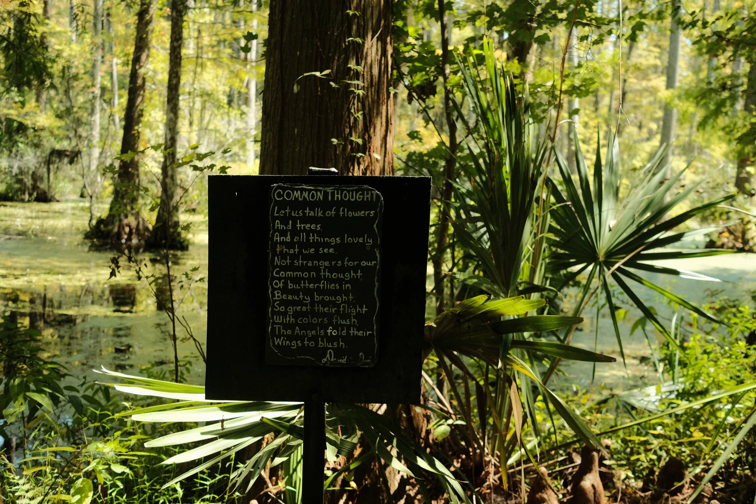 DSCF2645.JPG