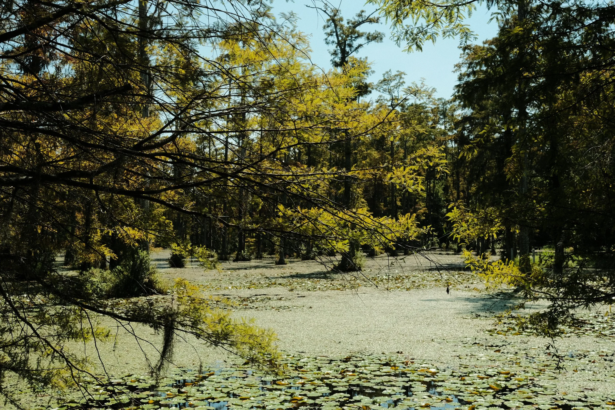 DSCF2674.JPG