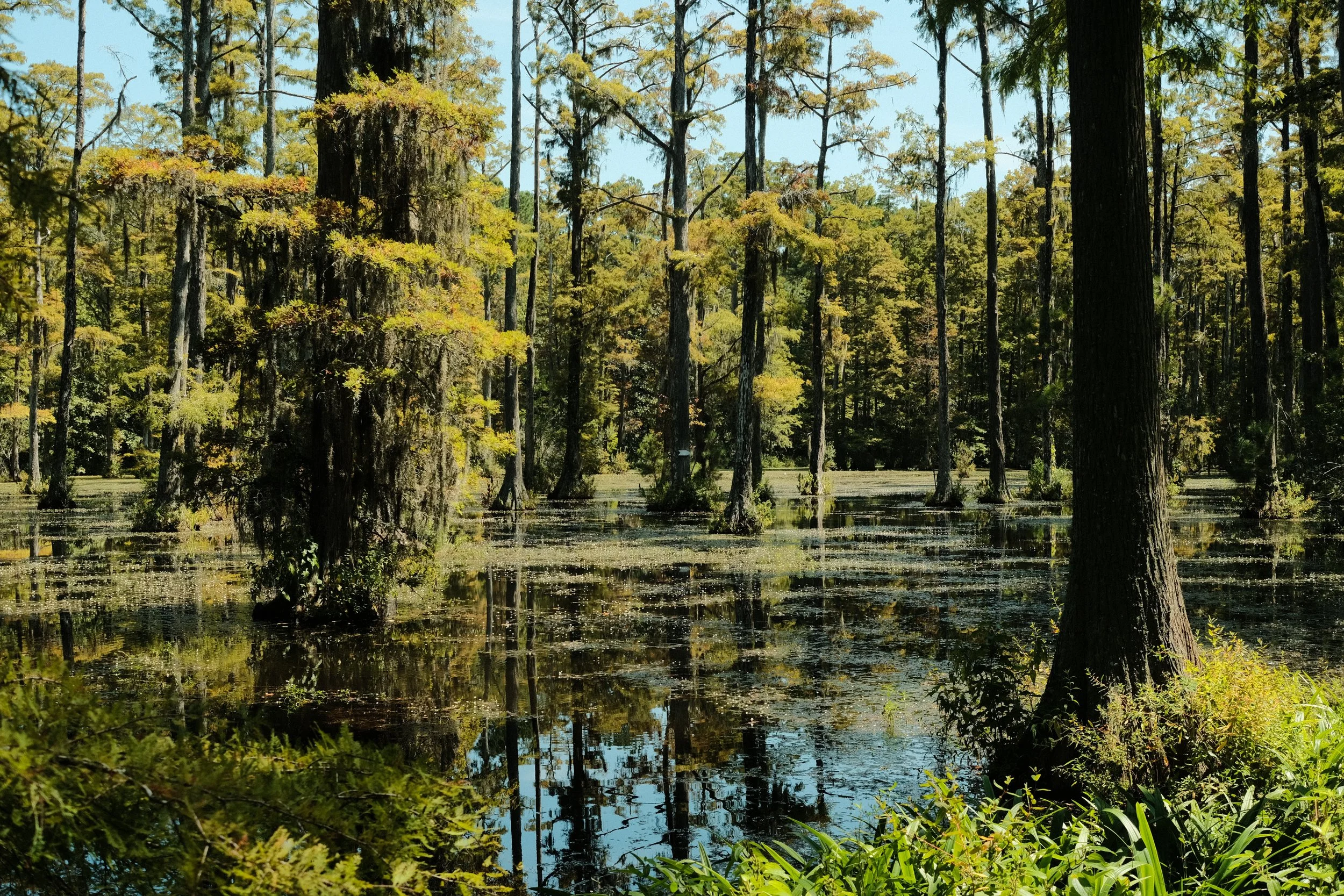 DSCF2643.JPG