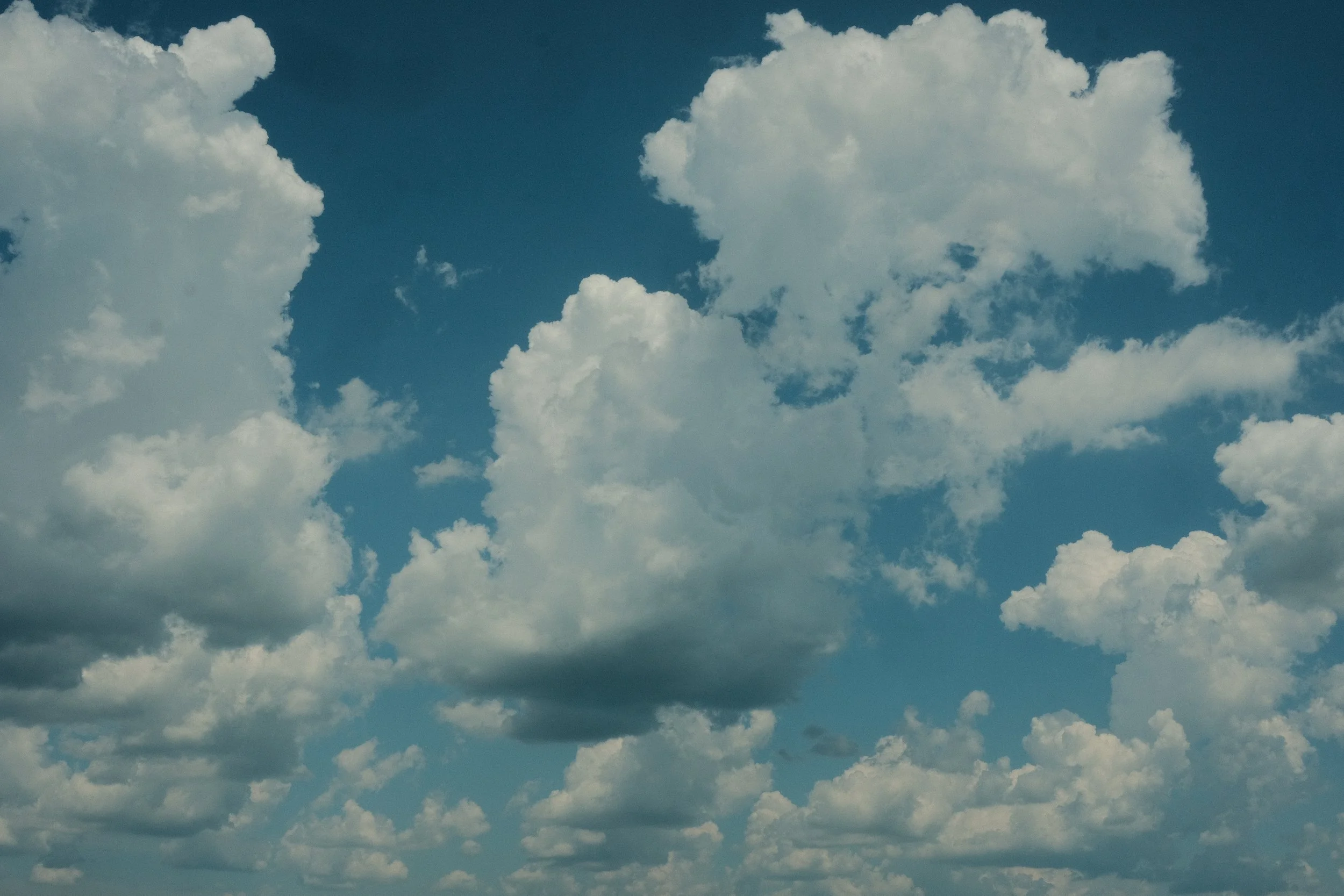 DSCF2551.JPG