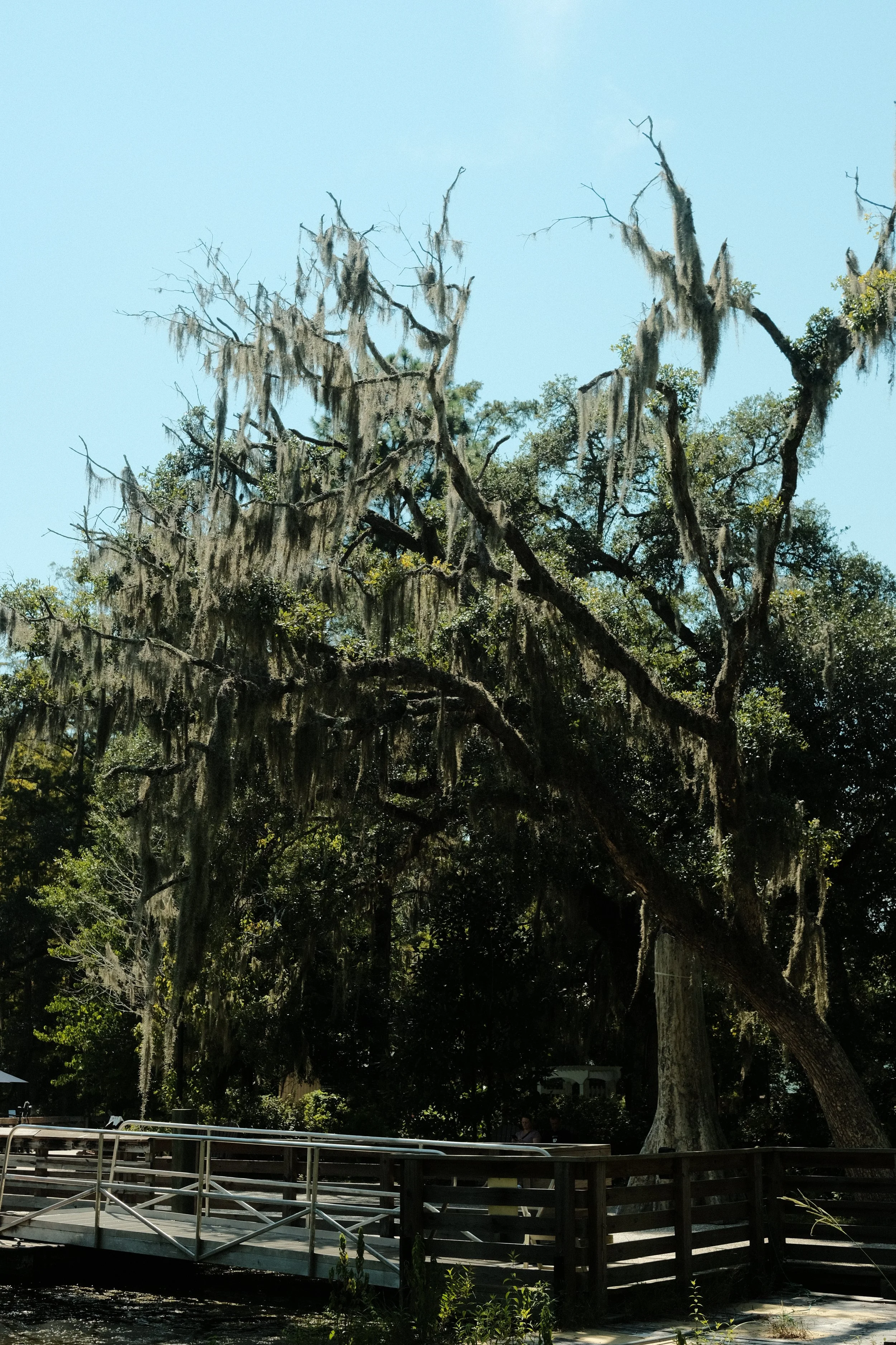 DSCF2676.JPG