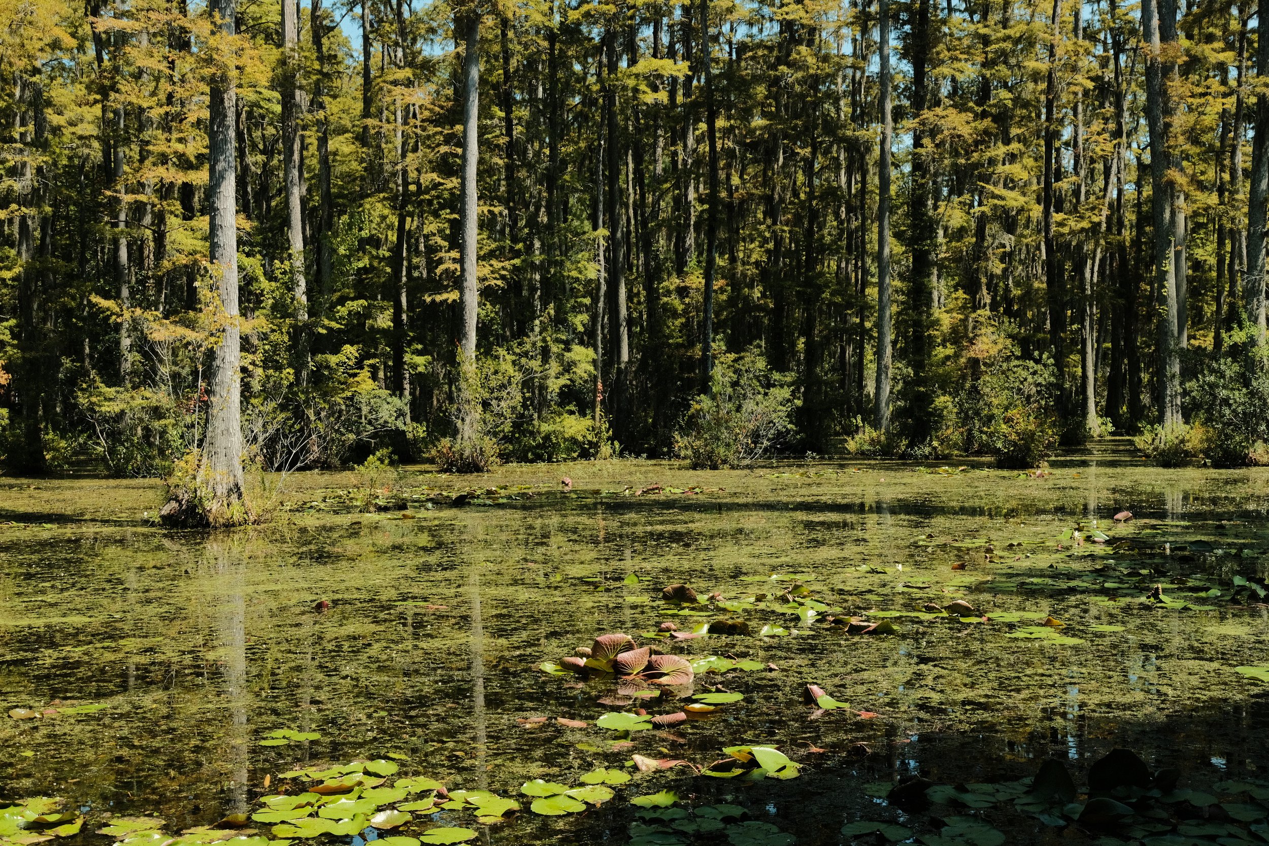 DSCF2650.JPG