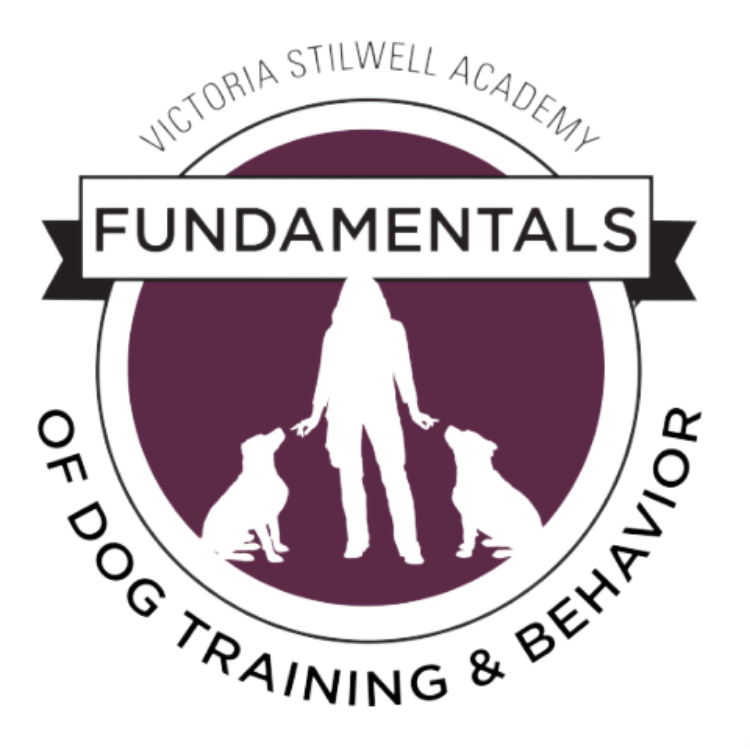 Logo for Victoria Stilwell Academy of Dog Training & Behavior featuring a silhouette of a woman with two dogs on leashes, with 'Fundamentals' written on a banner above, and the organization name and focus on dog training and behavior surrounding the 