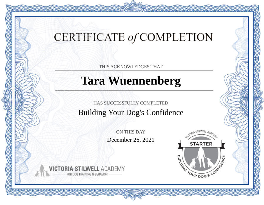 Certificate of completion awarded to Tara Wuennenberg from Victoria Stilwell Academy for successfully completing Building Your Dog's Confidence on December 26, 2021. The certificate features a blue intricate border and the Victoria Stilwell Academy l