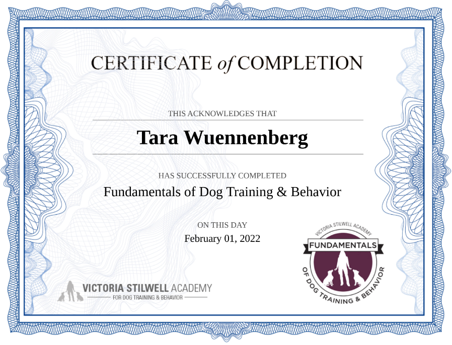 Certificate of Completion awarded to Tara Wuennenberg for Fundamentals of Dog Training & Behavior from Victoria Stilwell Academy, dated February 1, 2022.