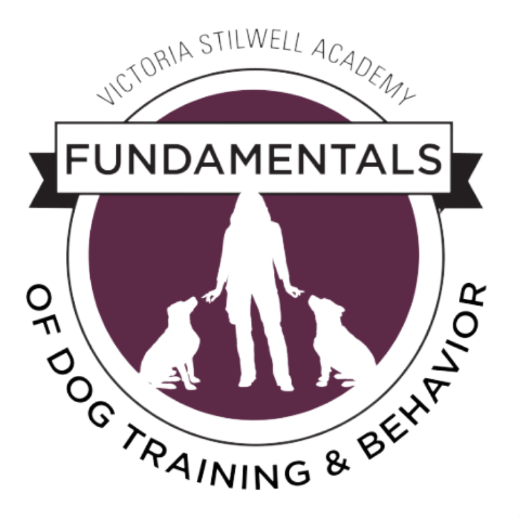 Logo for Victoria Stilwell Academy of Dog Training & Behavior featuring a silhouette of a woman with two dogs on leashes, with 'Fundamentals' written on a banner above, and the organization name and focus on dog training and behavior surrounding the 