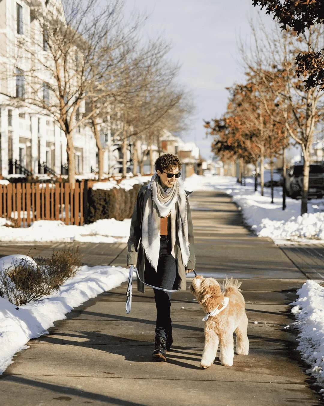 Person walking a leashed dog on a snowy city sidewalk