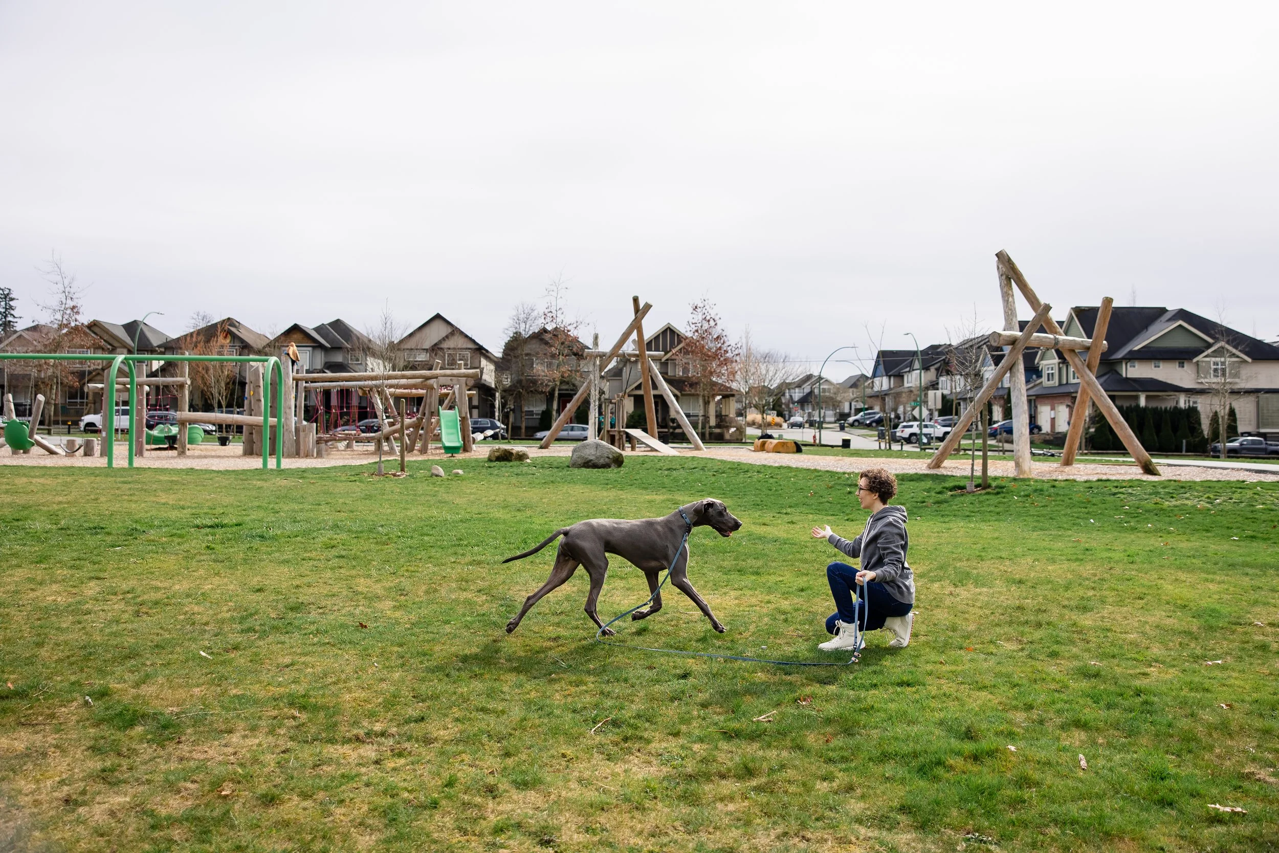 Person training a large dog on a leash in a neighborhood park with playground equipment and suburban homes