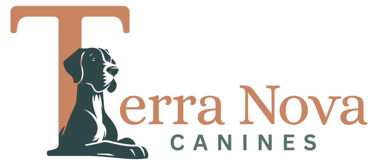 Terra Nova Canines