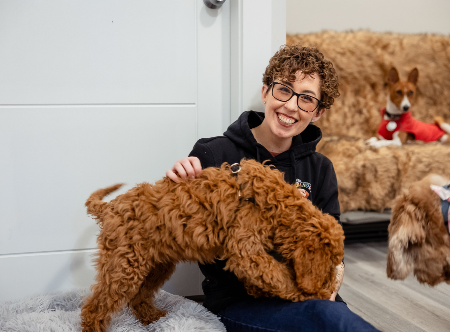Smiling woman with glasses petting a curly-haired brown dog, with two other dogs in the background