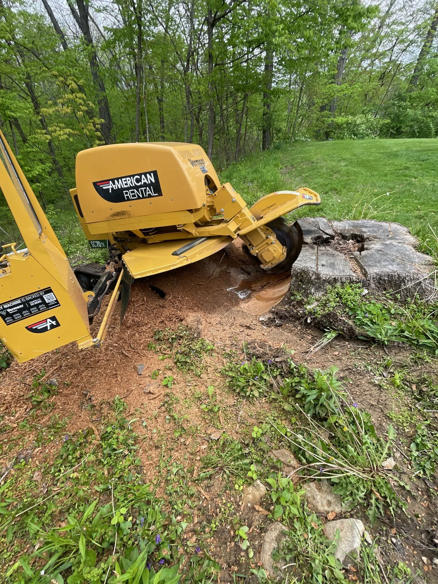 Stump Grinding
