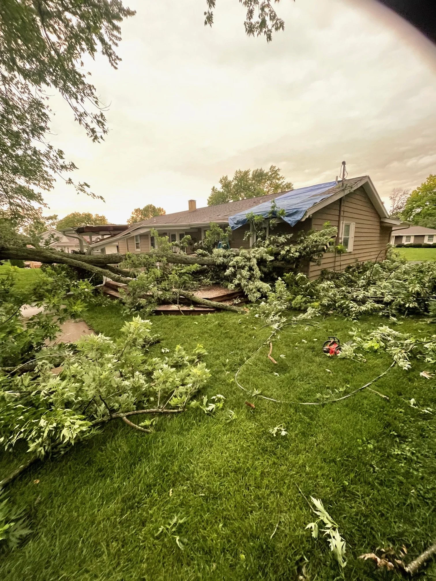 Emergency Storm Cleanup
