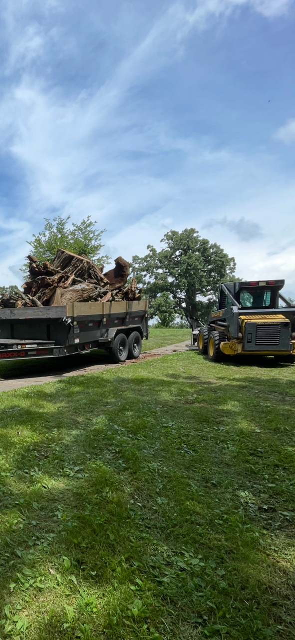 Lot/land Clearing