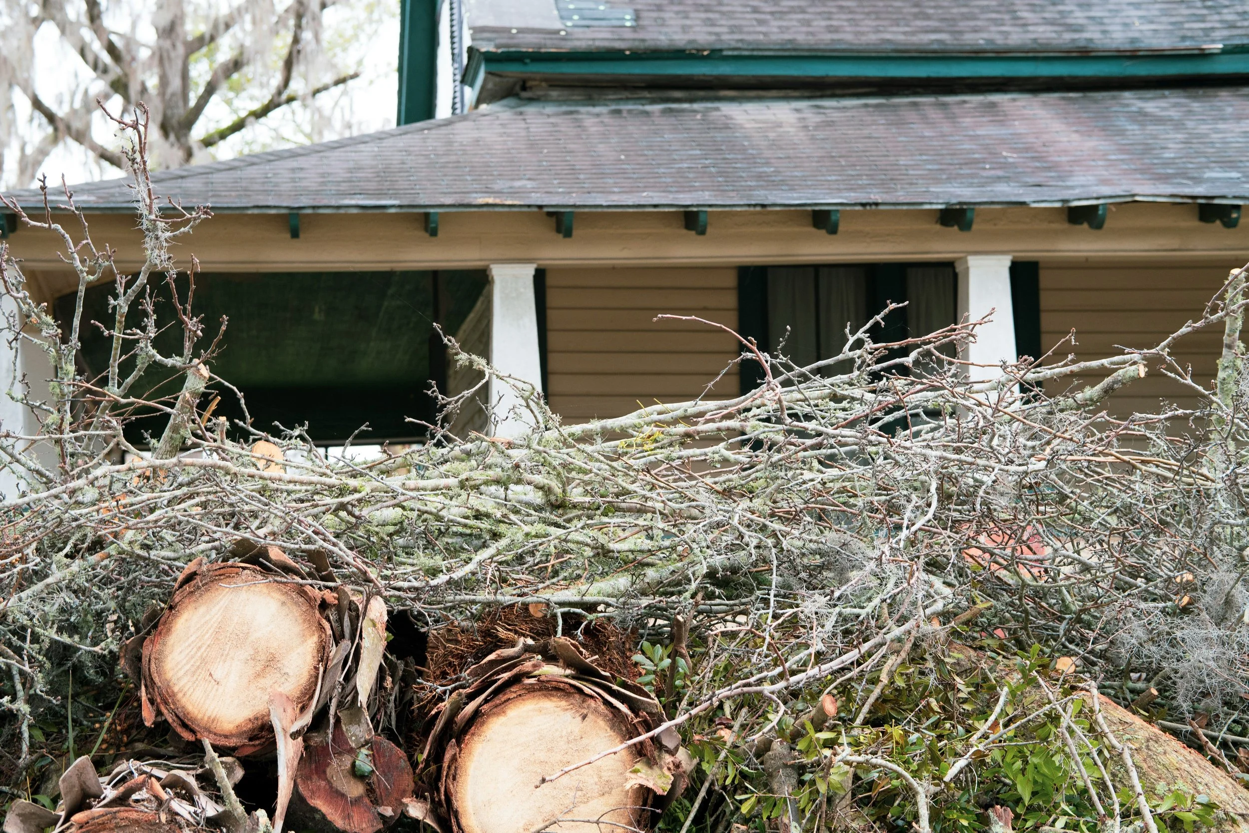 Yard Debris