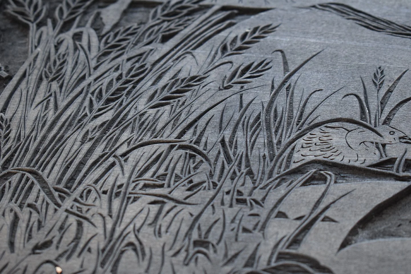 DSC_0178.JPG