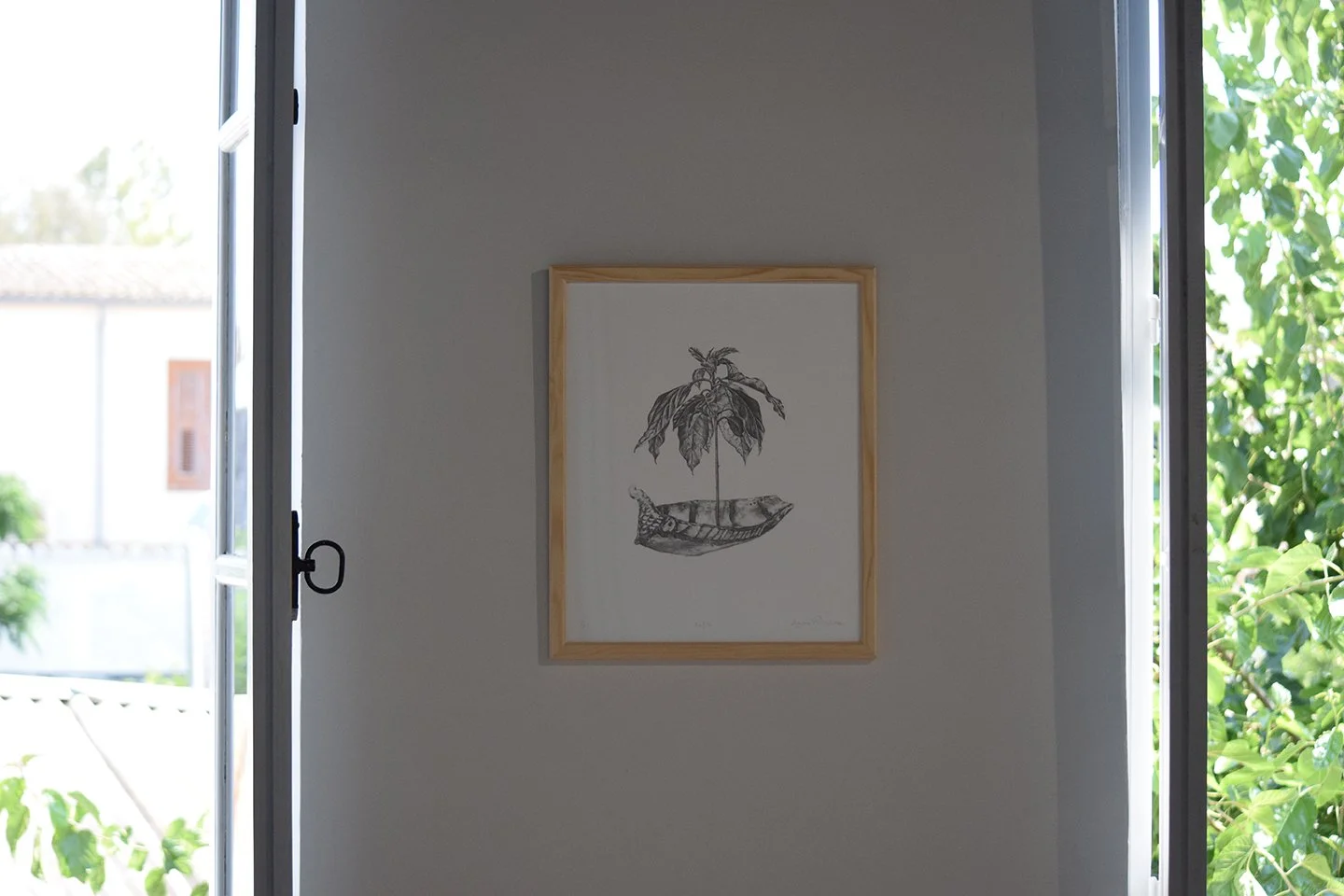 DSC_1258.JPG