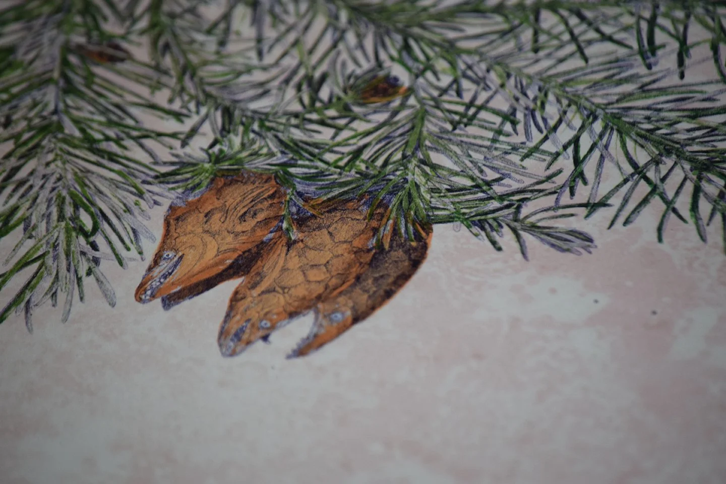 DSC_3534.JPG