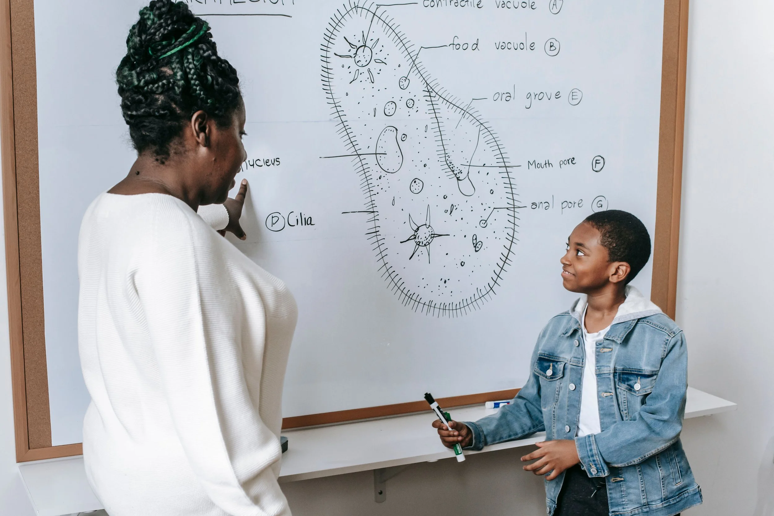Memory and Concentration Improve When Students Stop Rereading